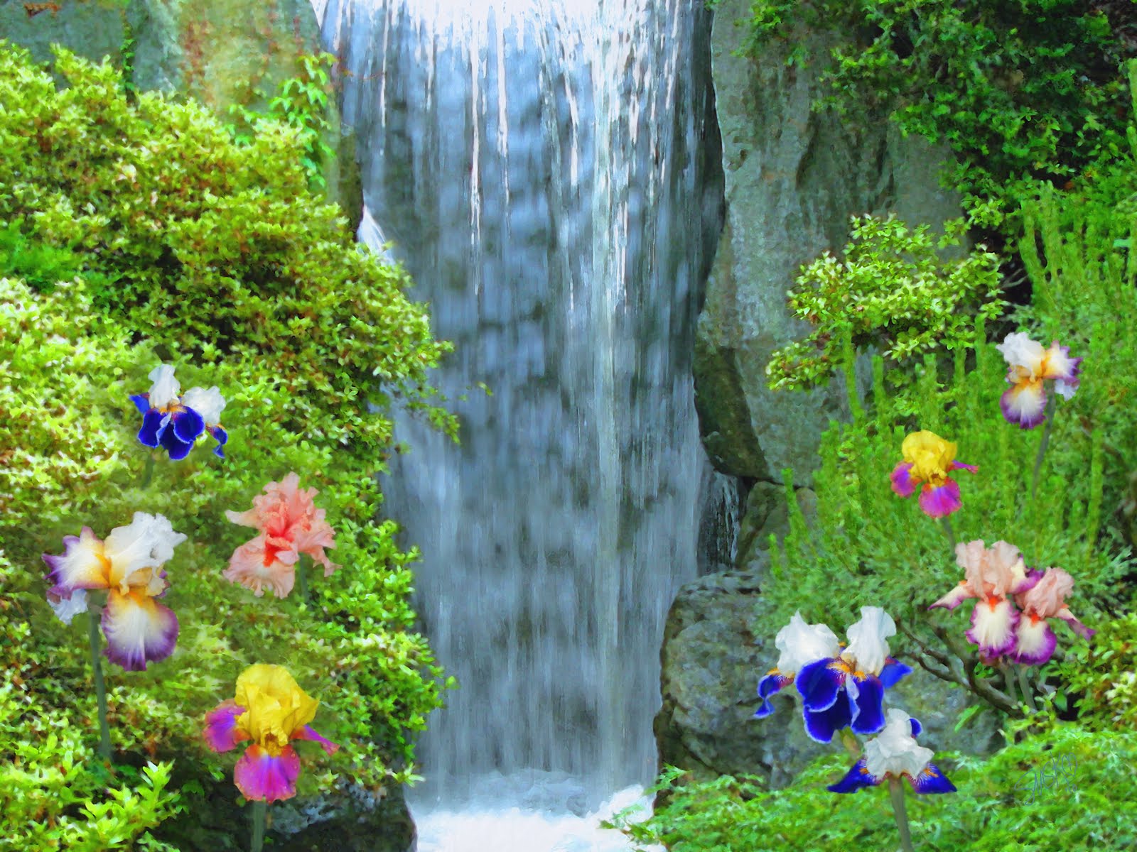 Waterfall And Flowers Wallpapers