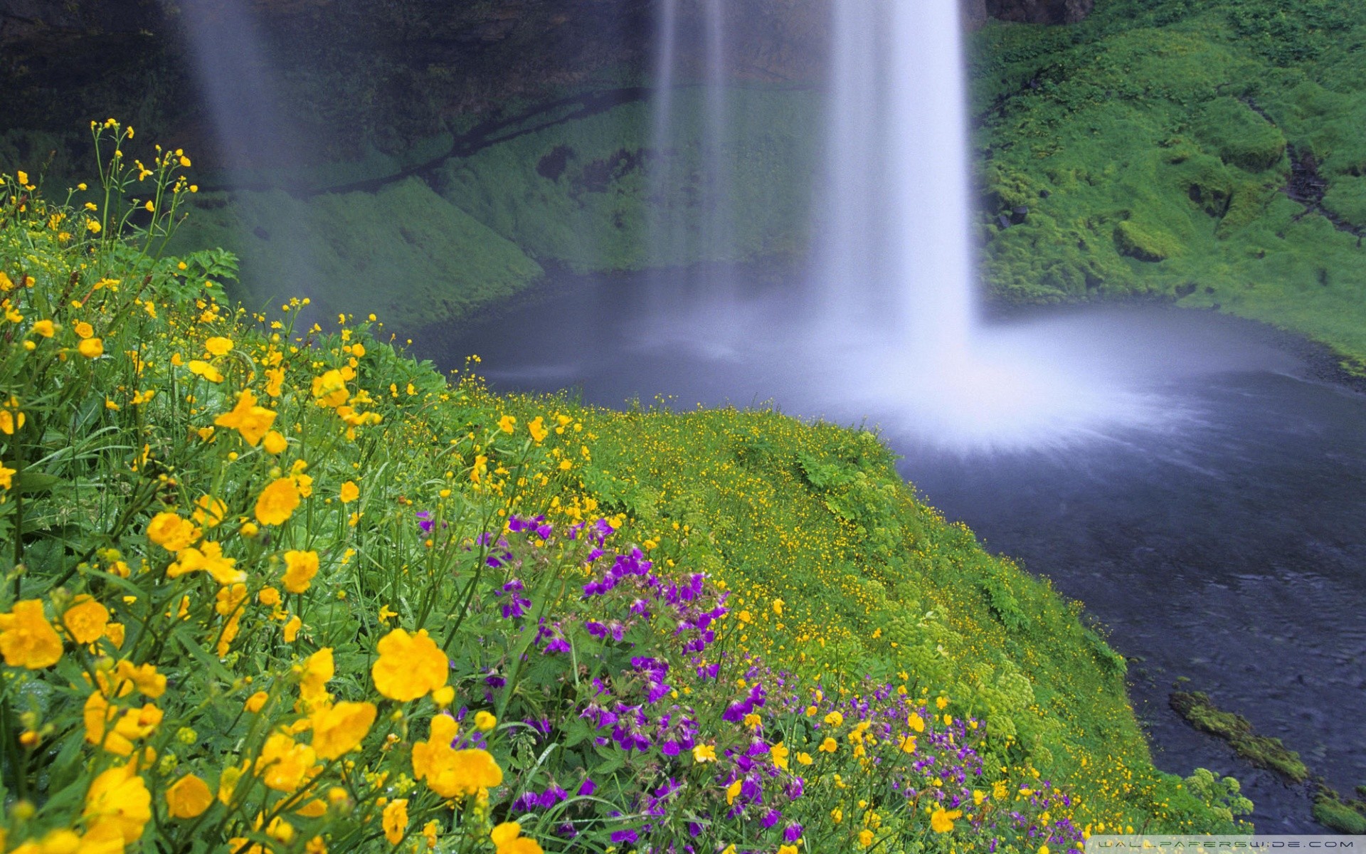 Waterfall And Flowers Wallpapers