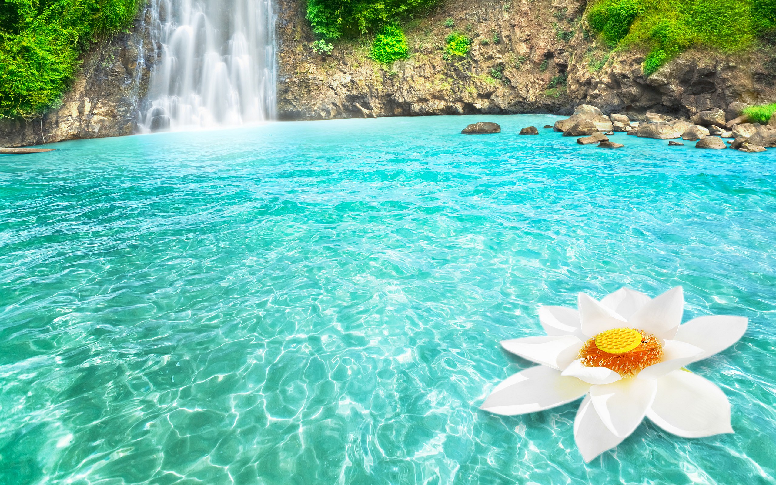 Waterfall And Flowers Wallpapers