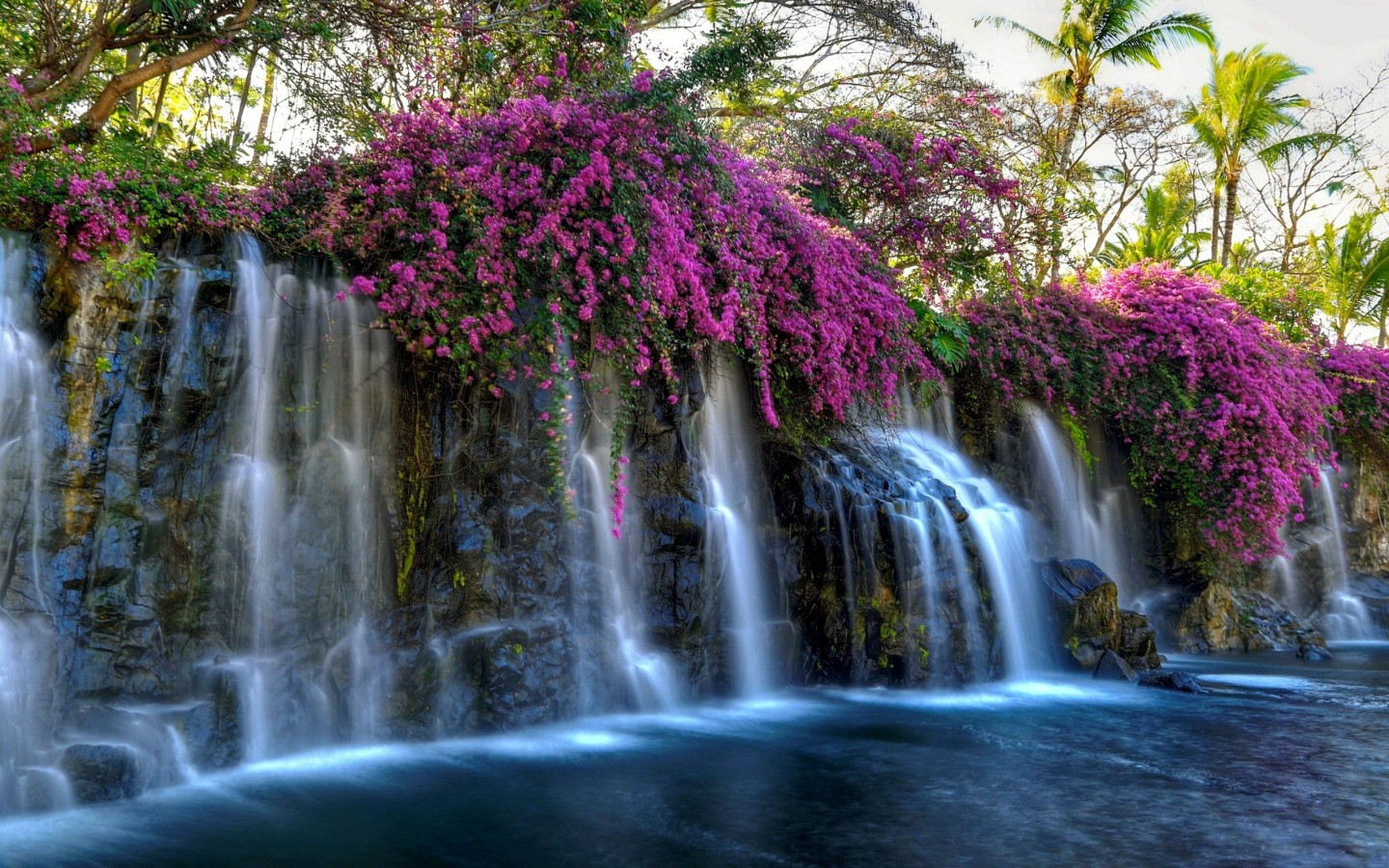 Waterfall And Flowers Wallpapers