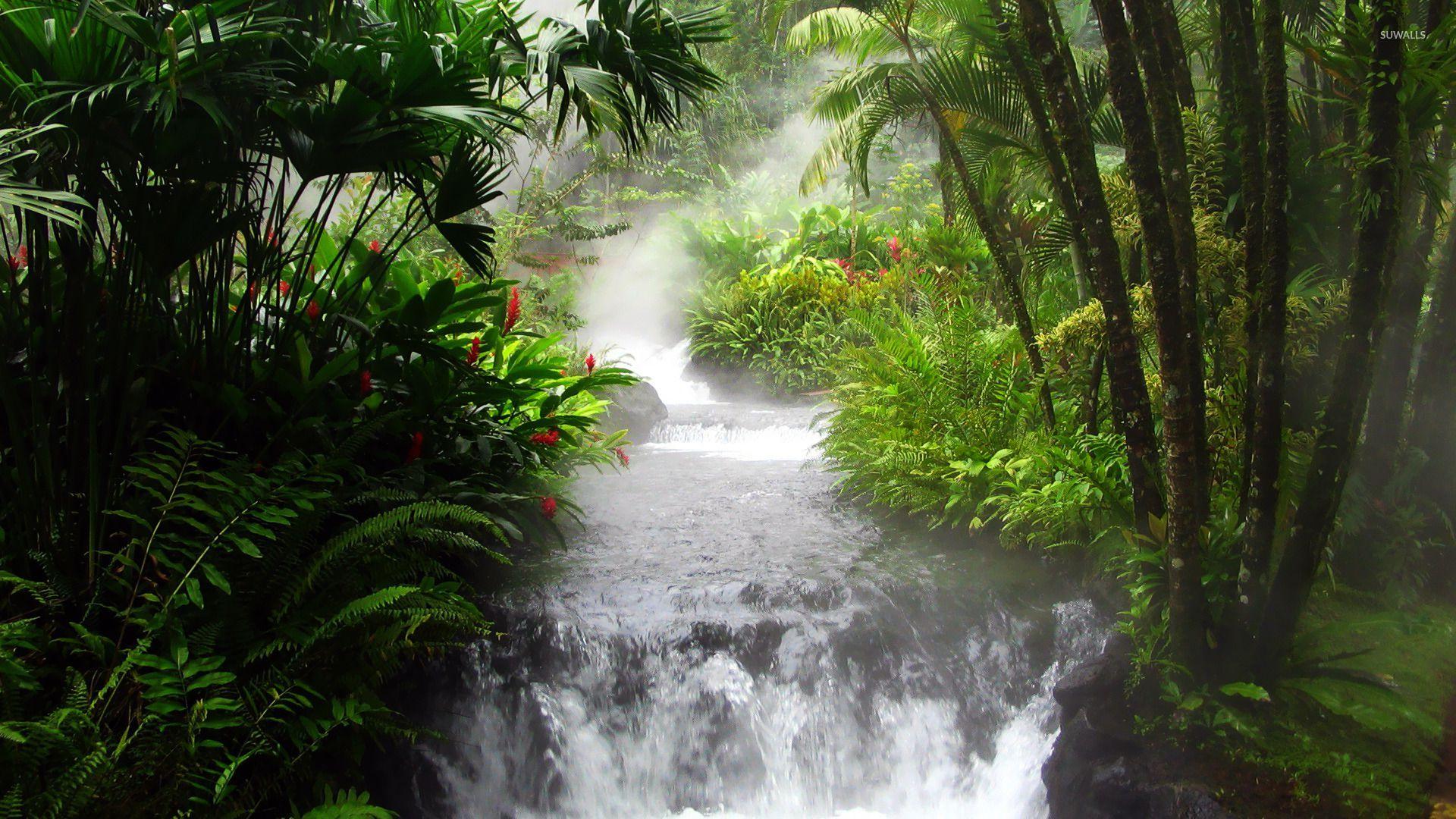 Waterfall Rainforest Wallpapers