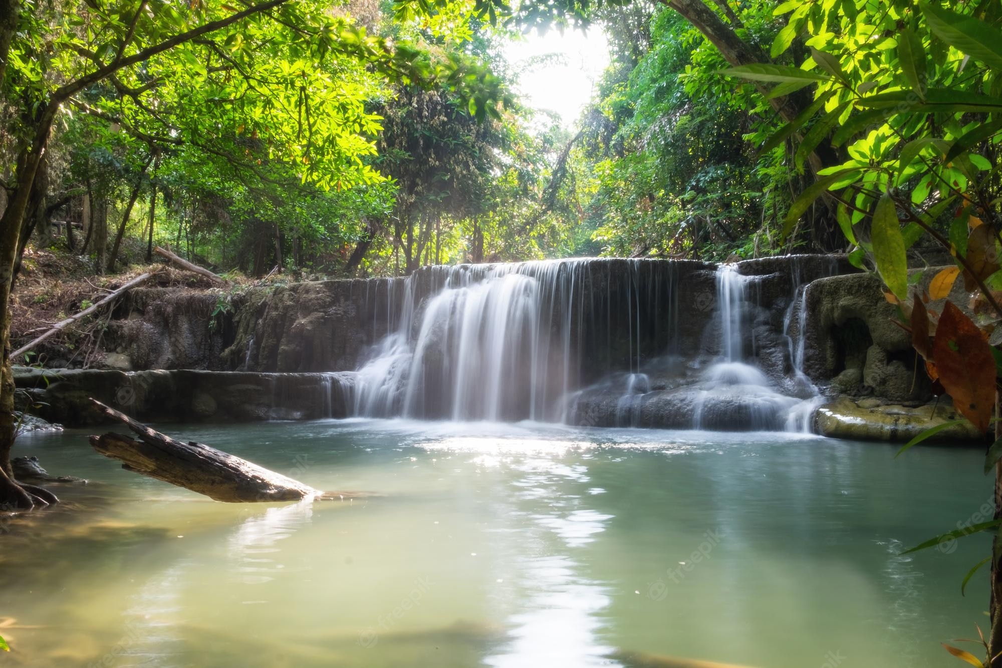 Waterfall Rainforest Wallpapers