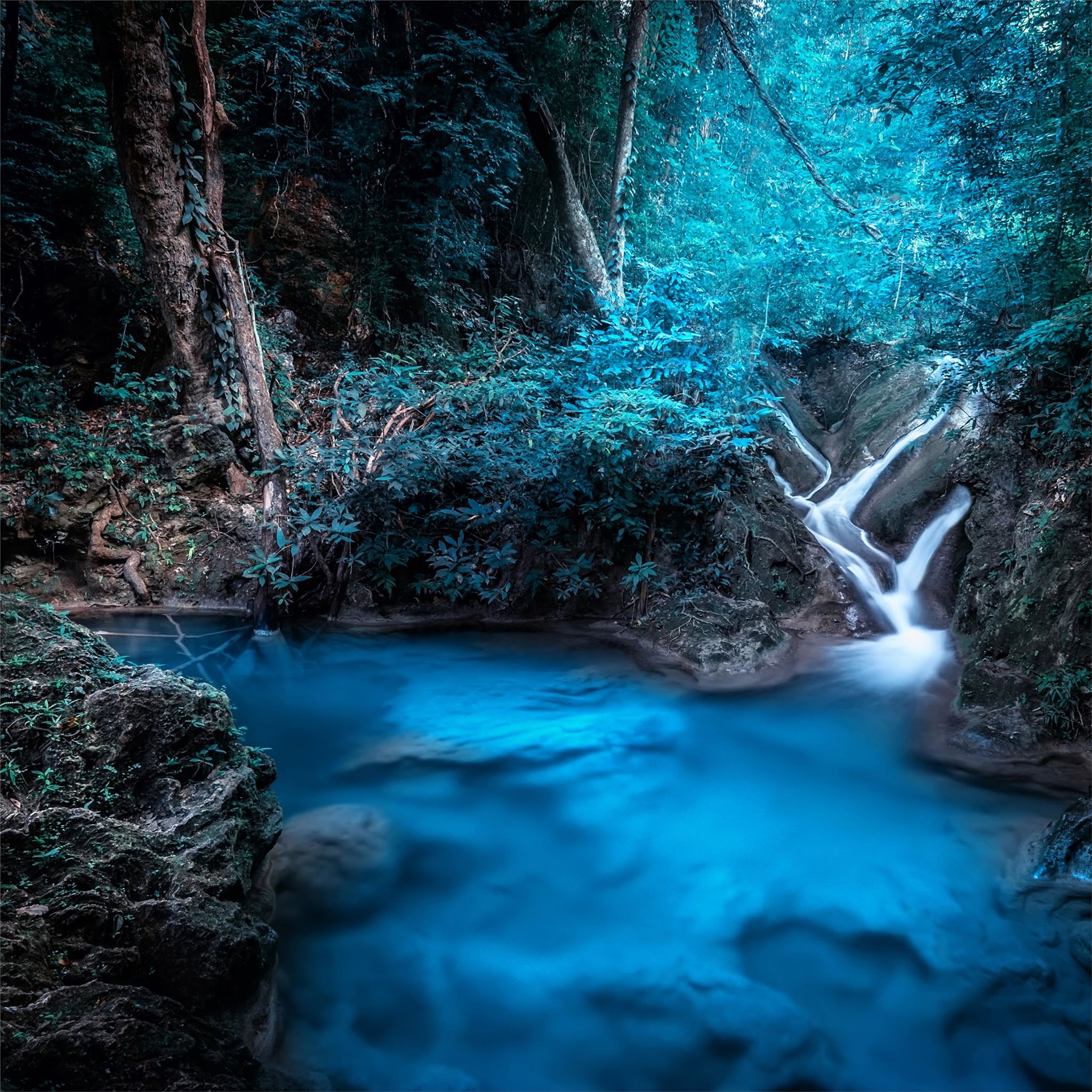 Waterfall Rainforest Wallpapers