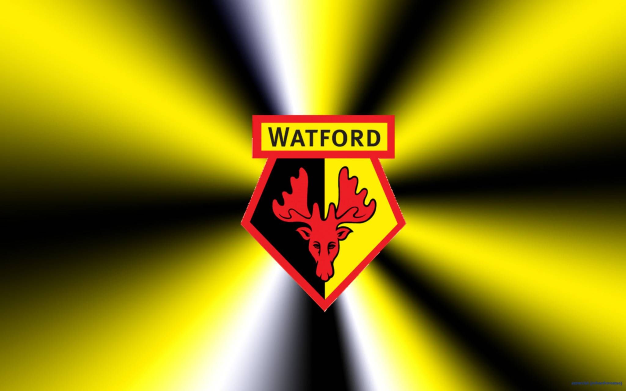 Watford F.C. Wallpapers