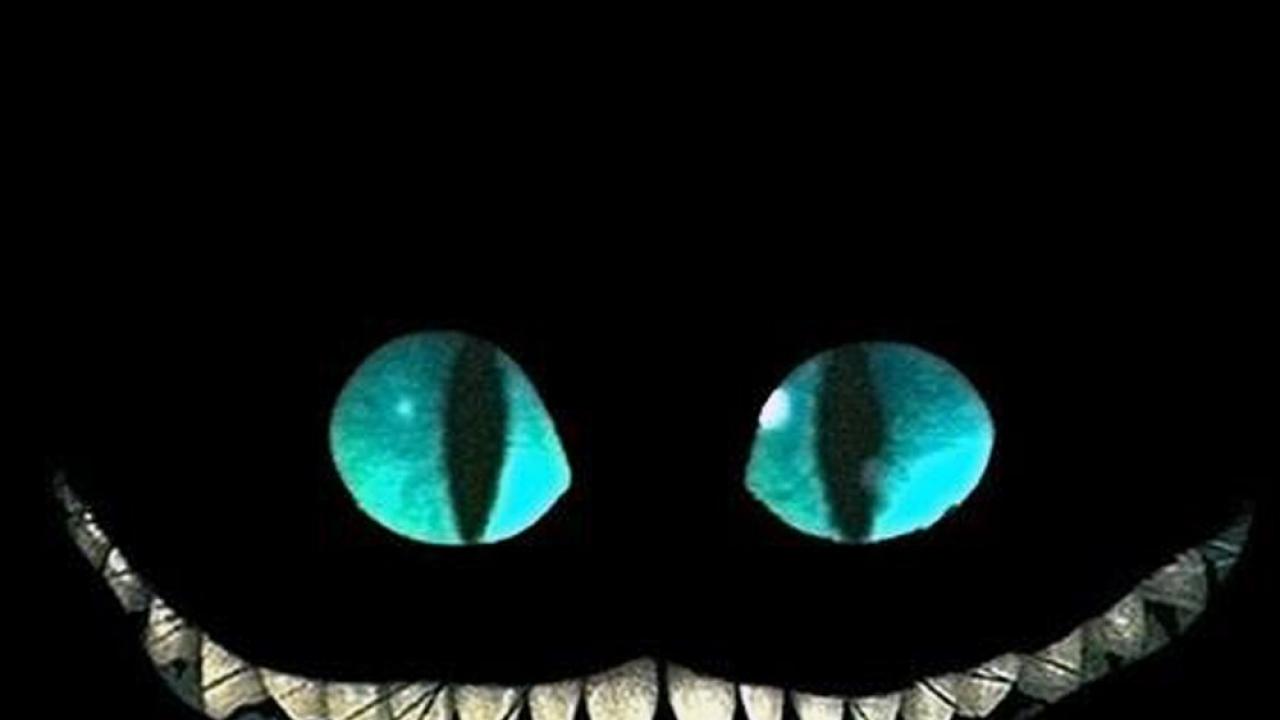 We Are All Mad Here Cheshire Cat Wallpapers