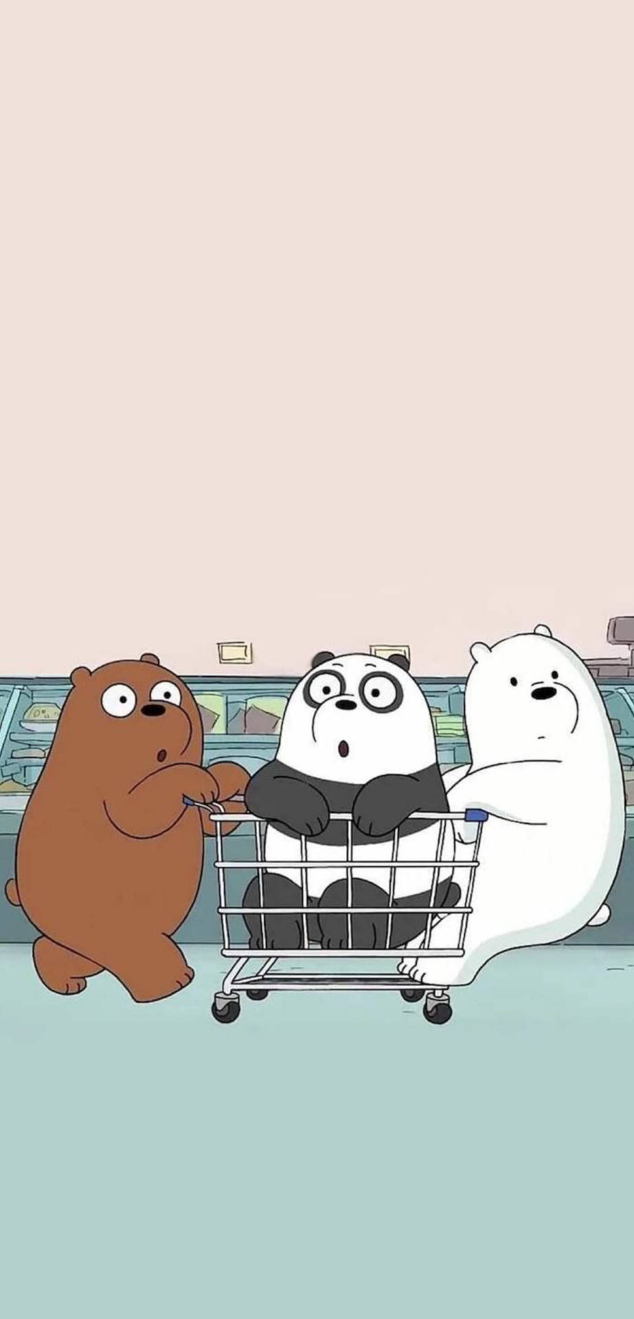 We Bare Bears Aesthetic Wallpapers