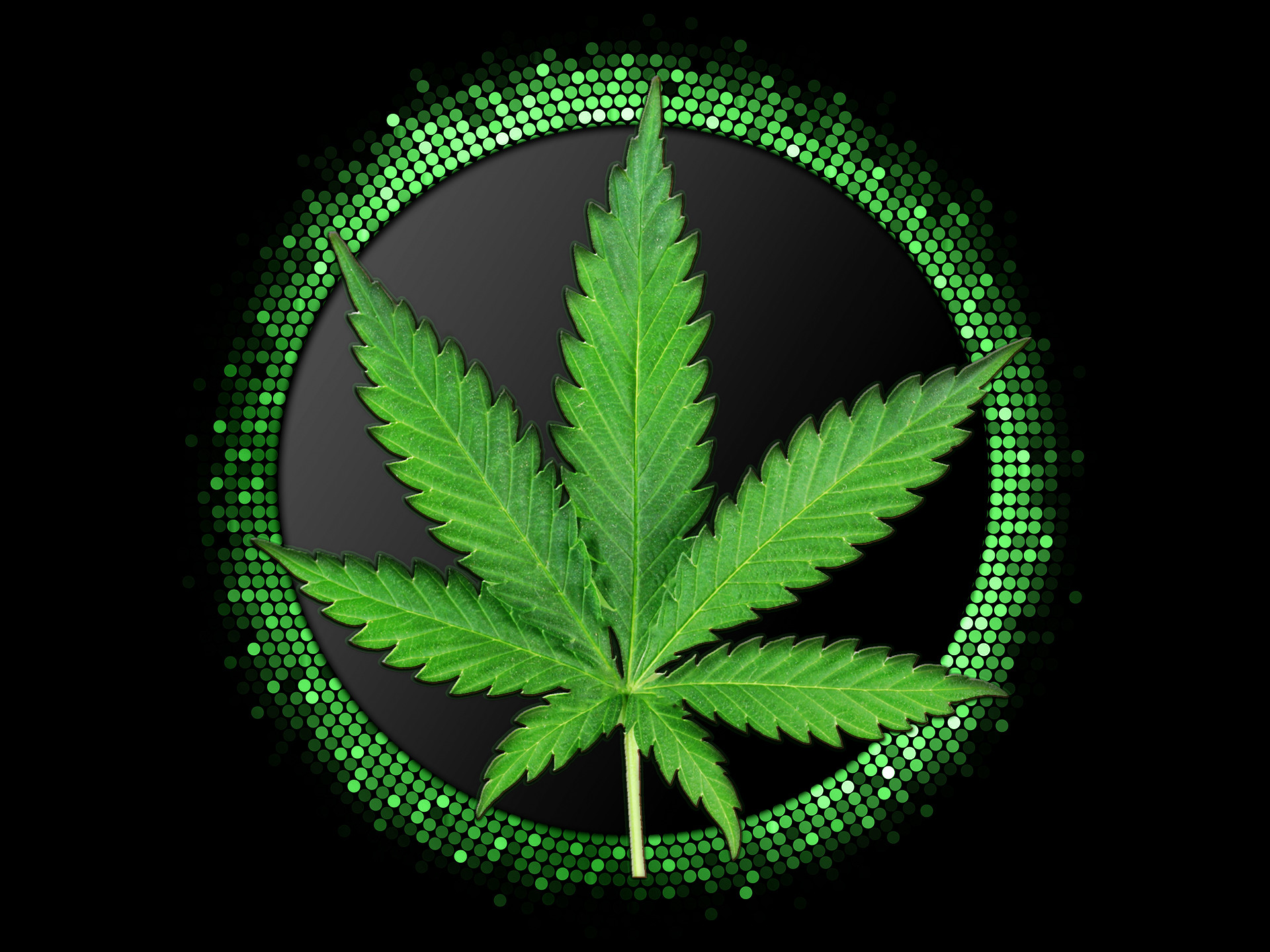 Weed 3D Wallpapers