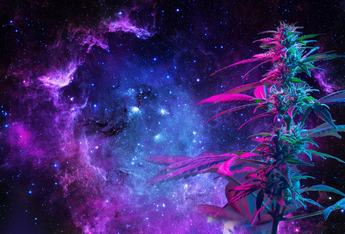 Weed Galaxy Wallpapers