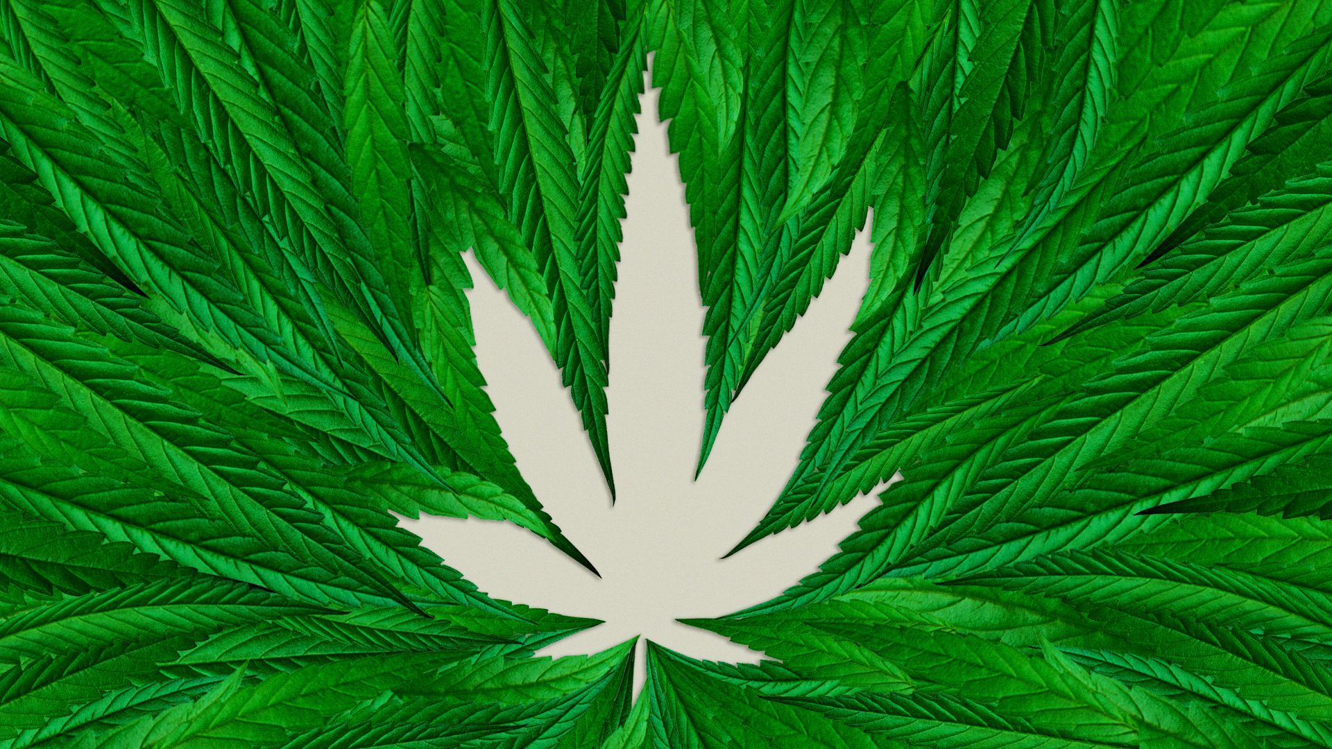 Weed Leaf Wallpapers