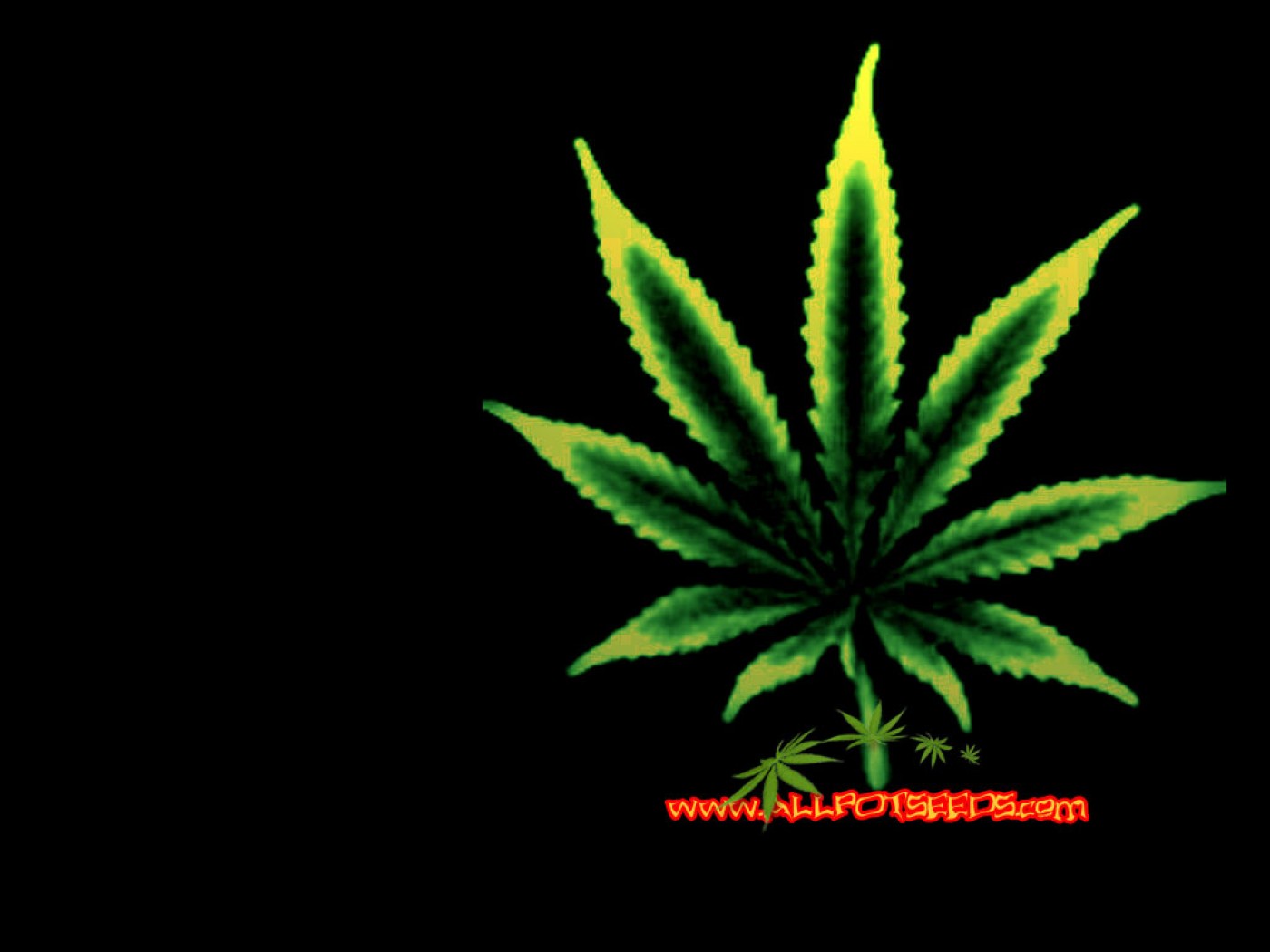 Weed Plant Wallpapers