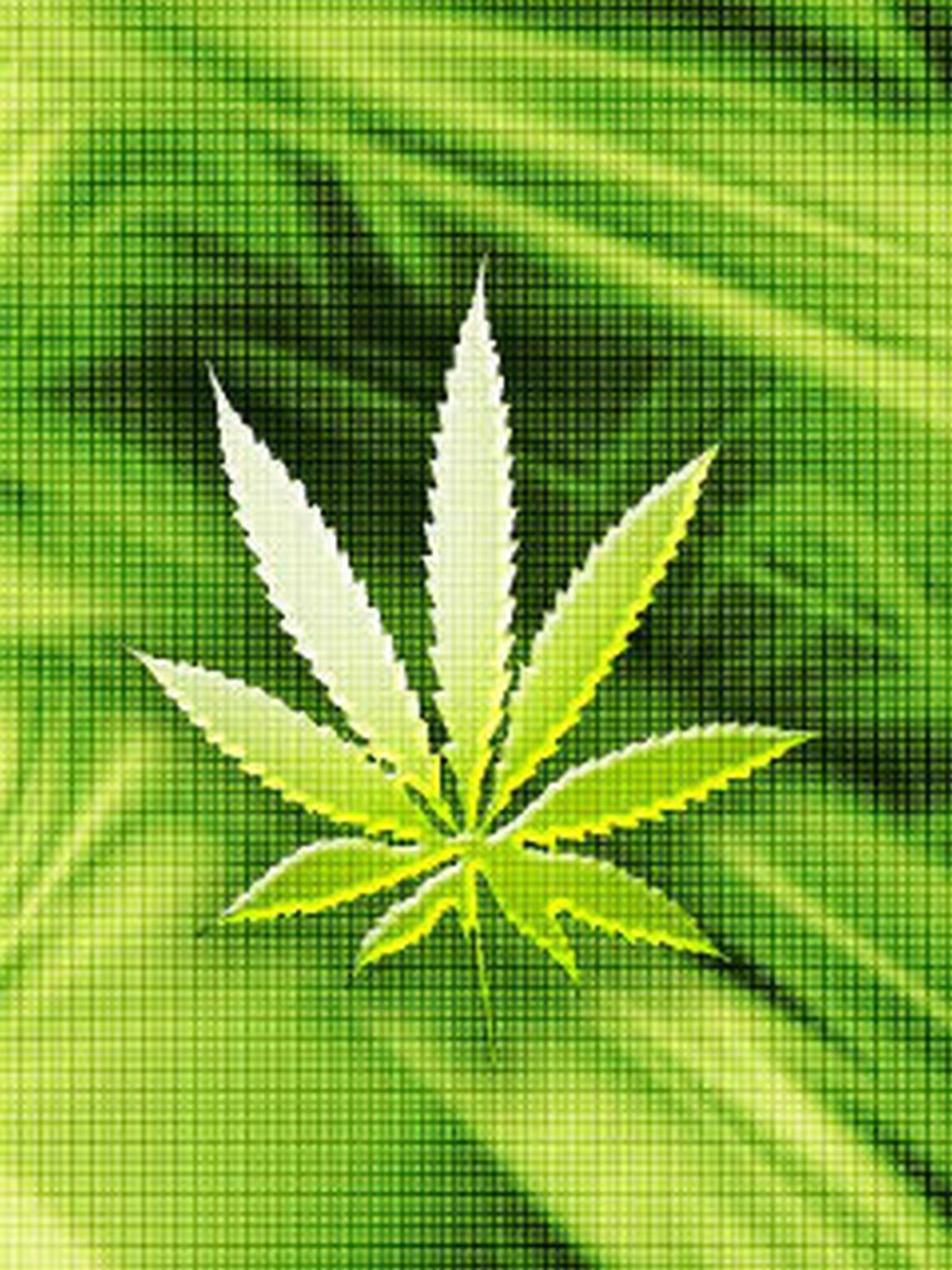 Weed Plant Wallpapers