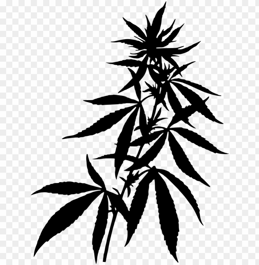 Weed Plants Backgrounds