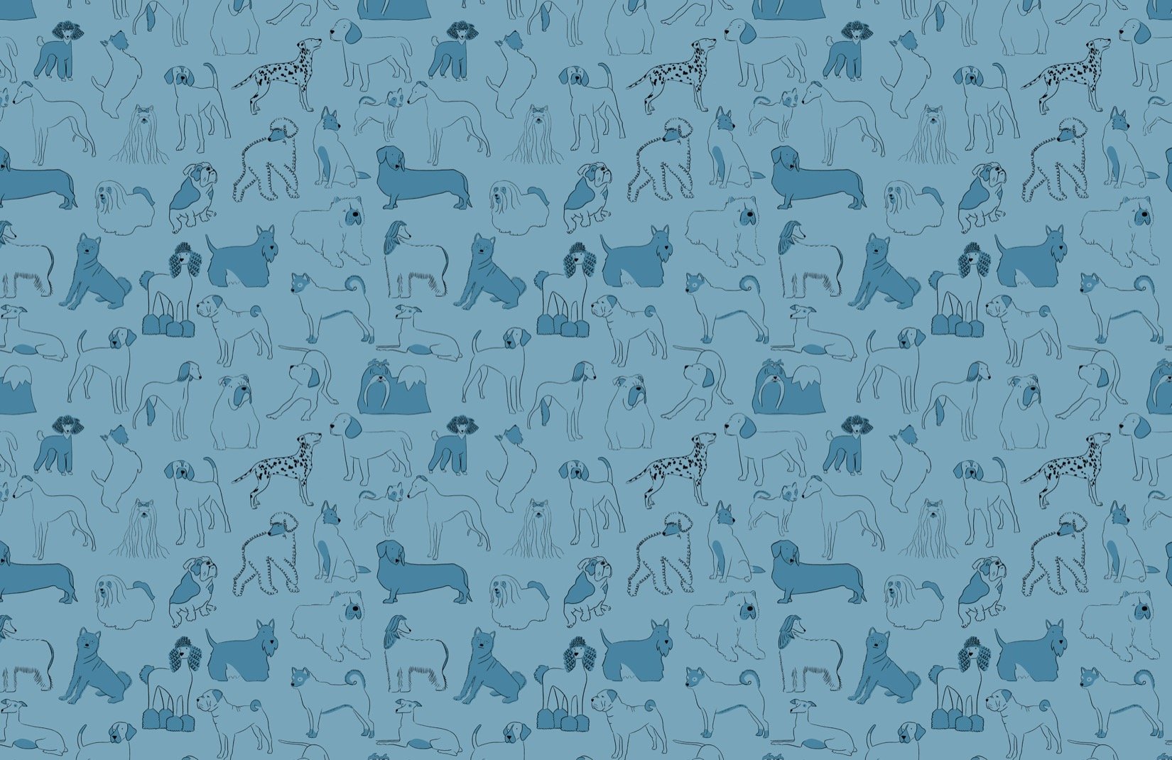 Weiner Dog Wallpapers