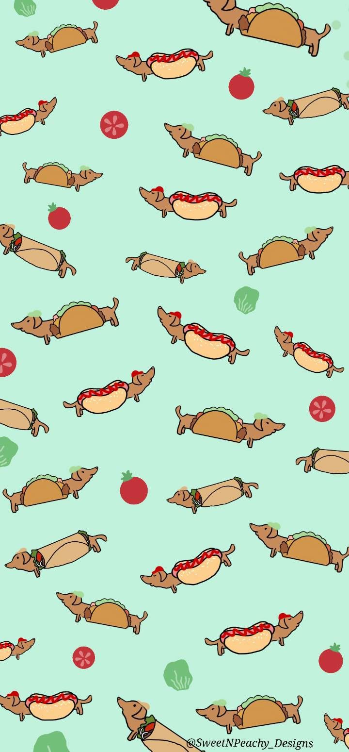 Weiner Dog Wallpapers