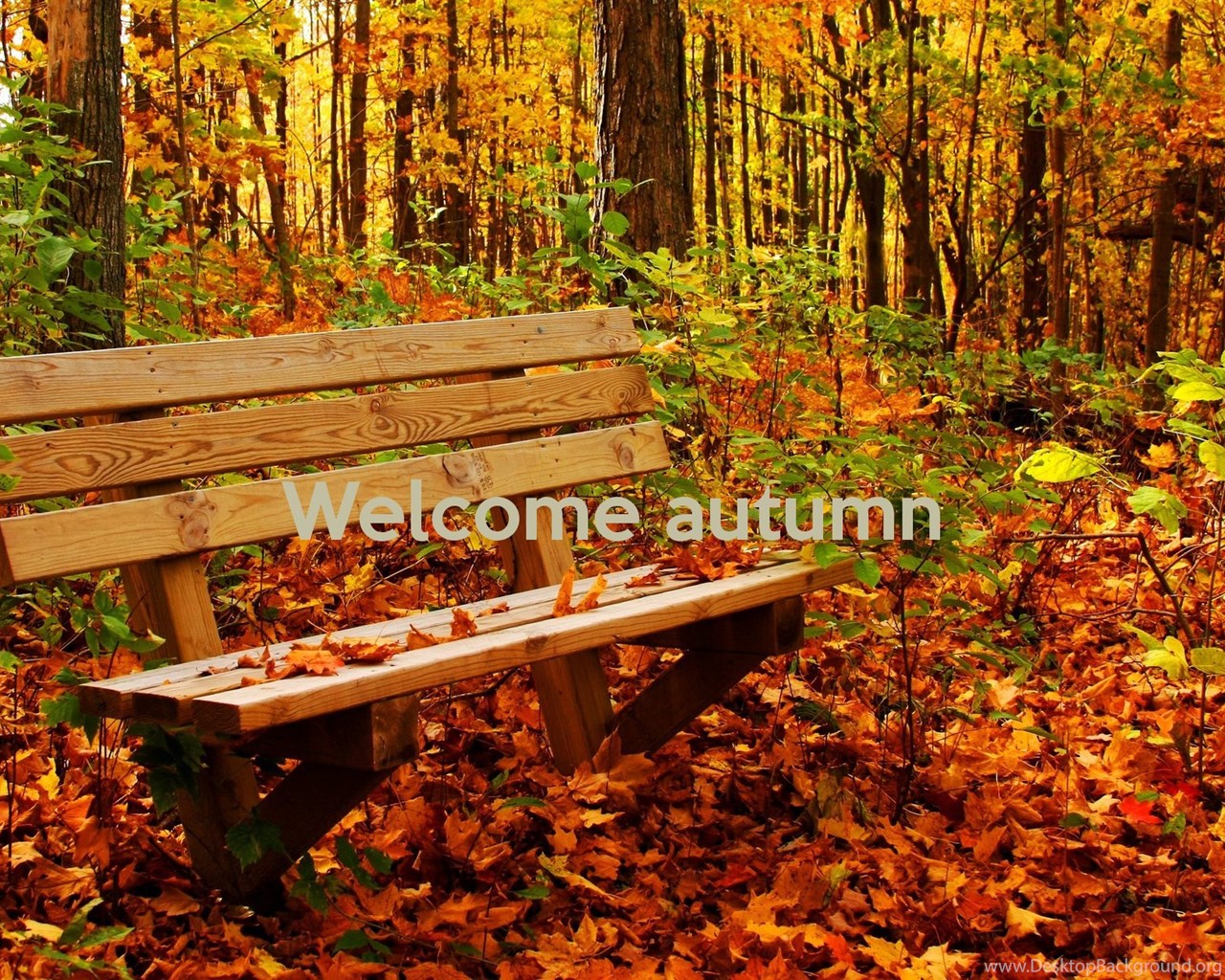 Welcome Autumn Wallpapers