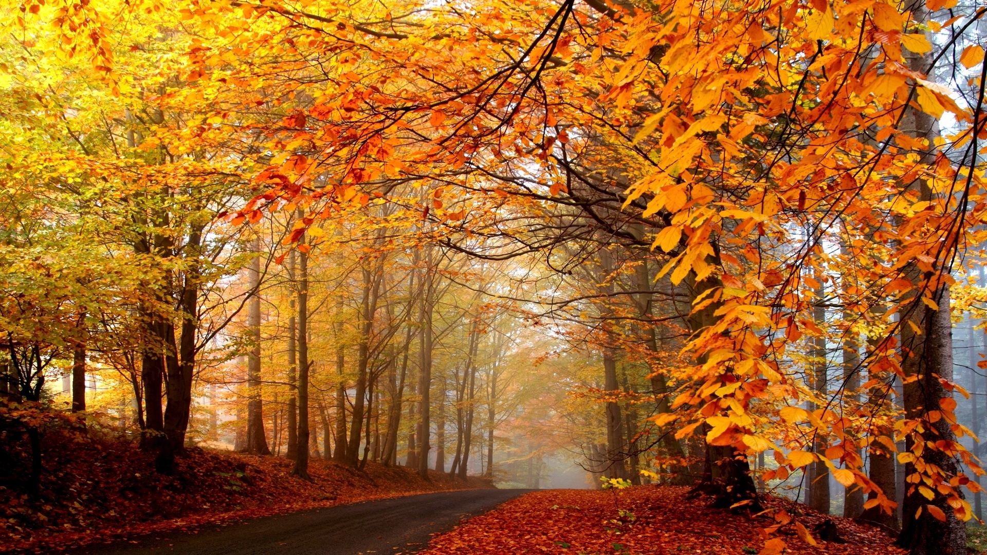 Welcome Autumn Wallpapers