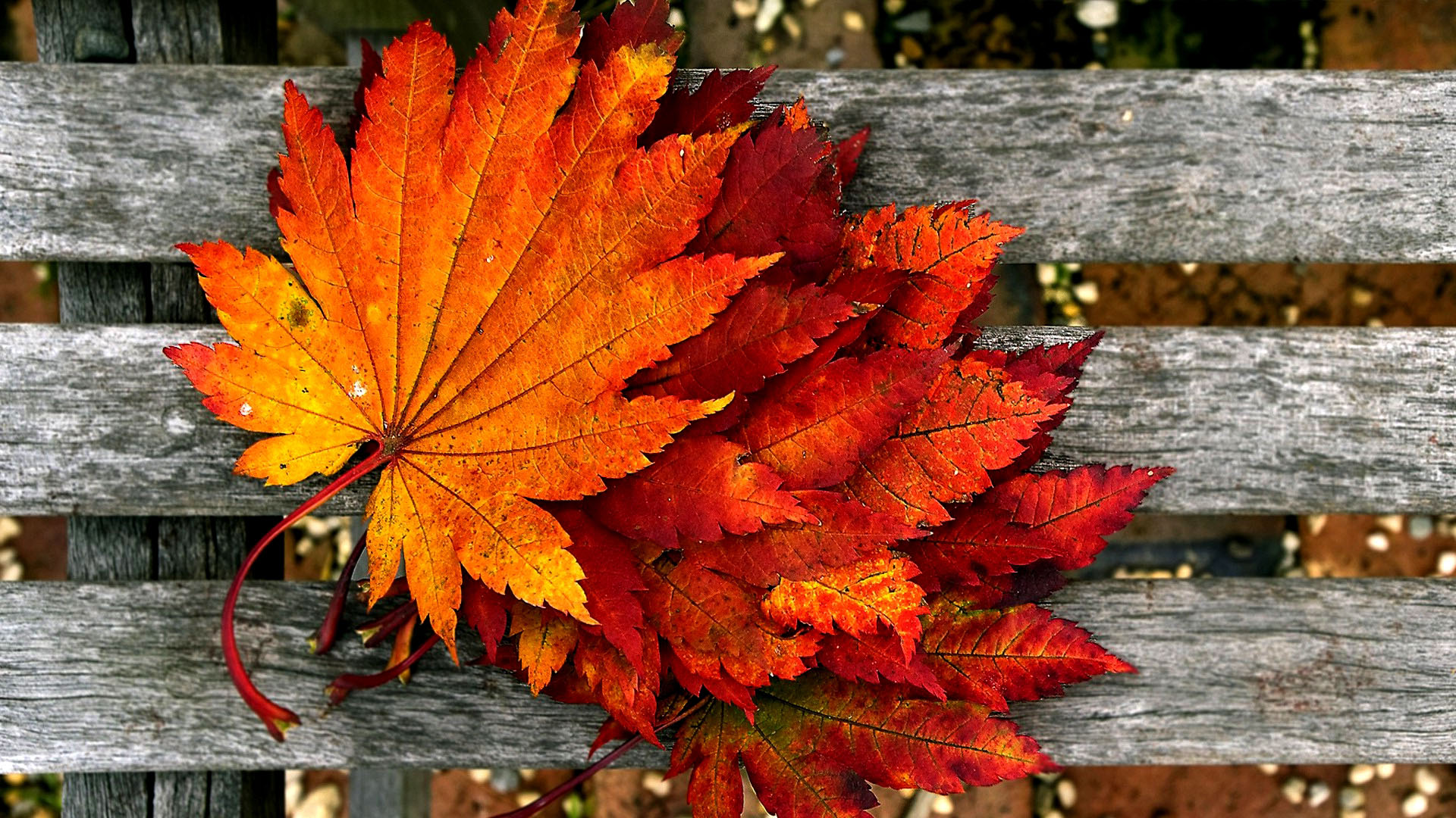 Welcome Autumn Wallpapers