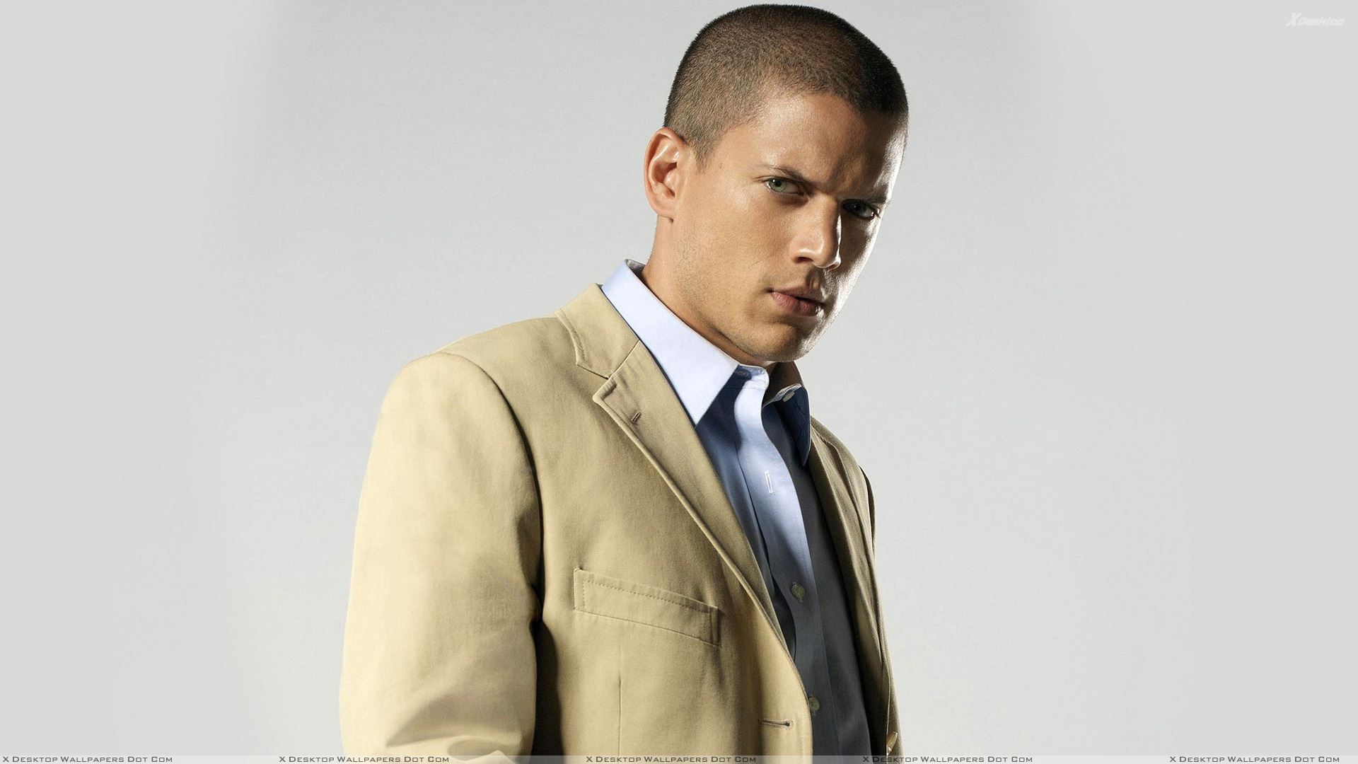 Wentworth Miller Wallpapers