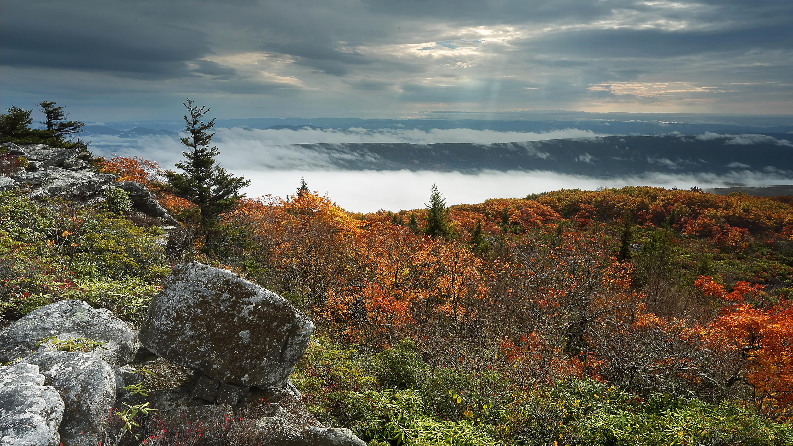 West Virginia Wallpapers