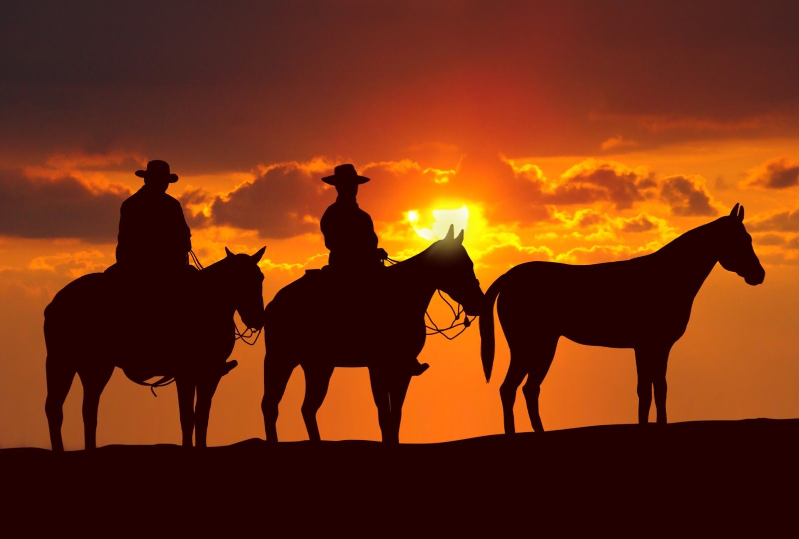 Western Horse Wallpapers