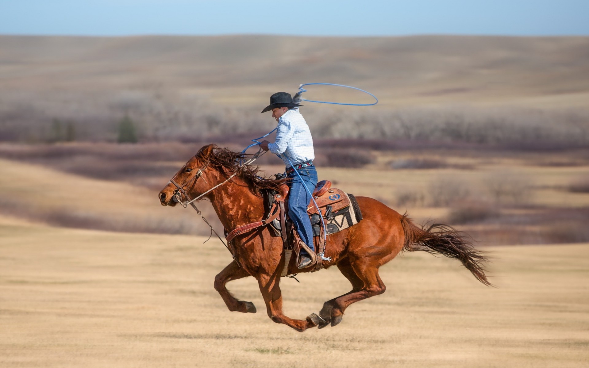 Western Horse Wallpapers