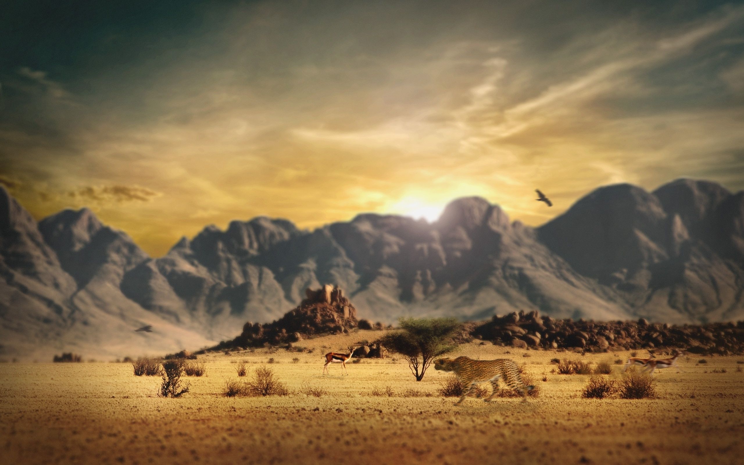 Western Landscape Wallpapers