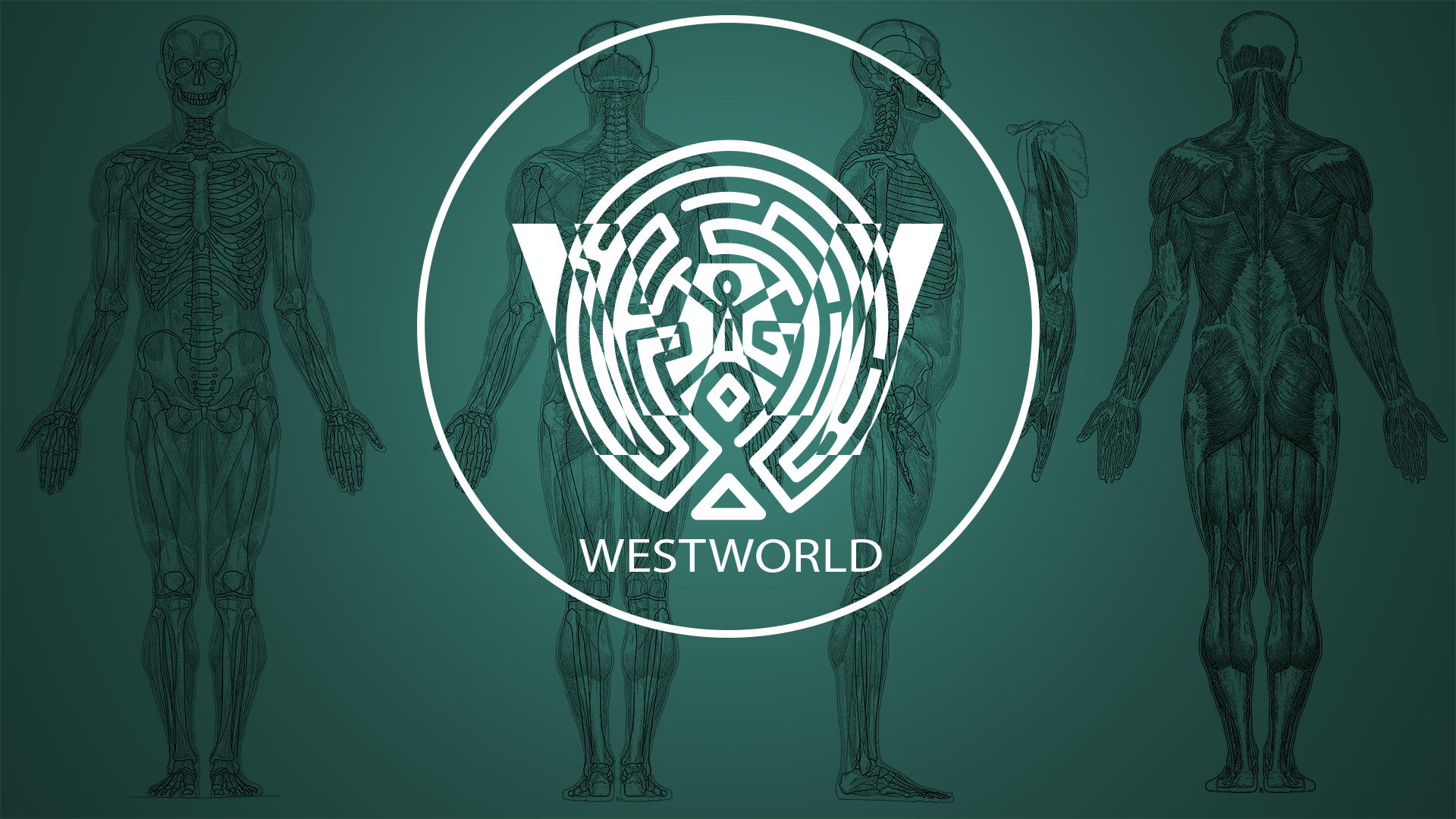 Westworld Season 2 Wallpapers