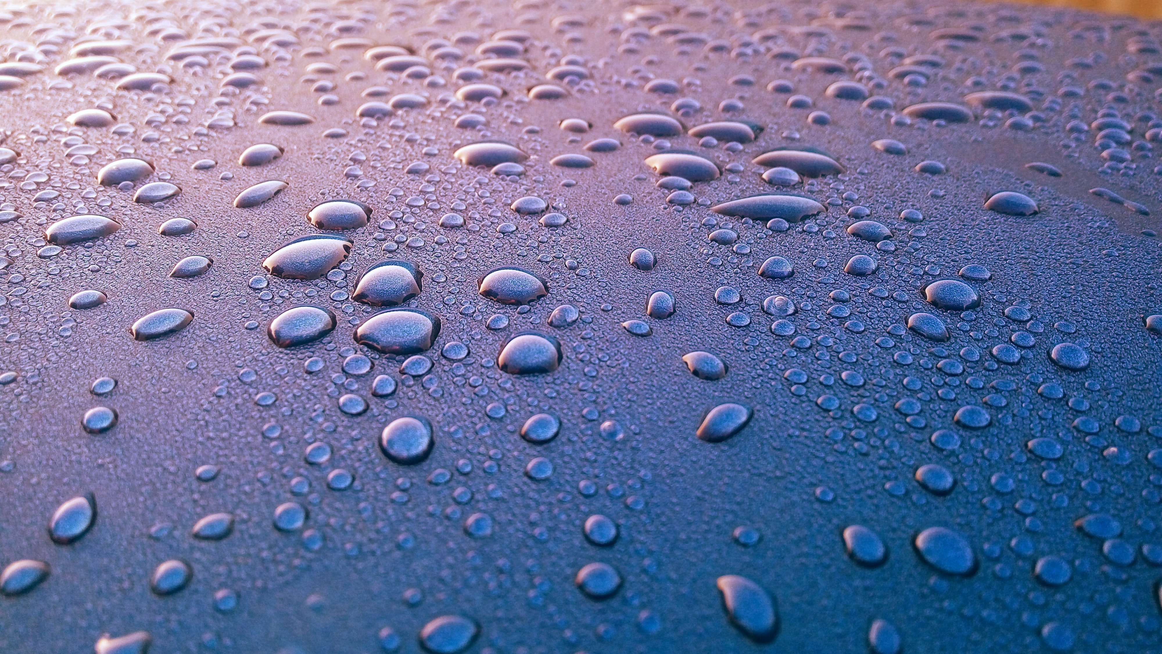 Wet Wallpapers