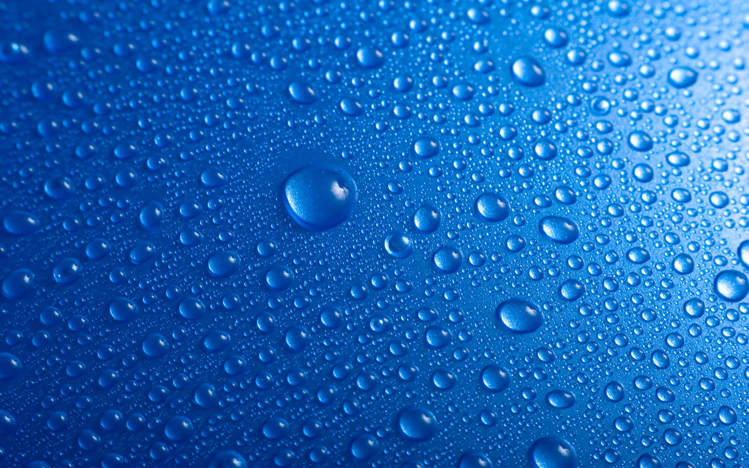 Wet Wallpapers