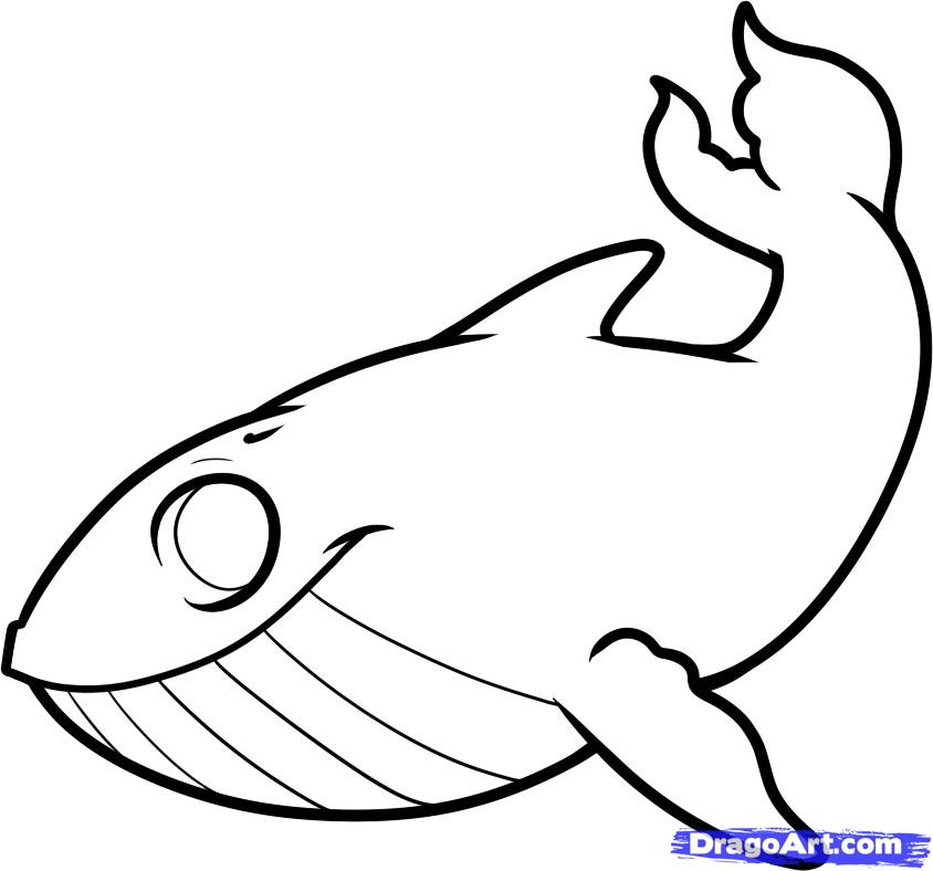 Whale Fish Drawing Art Wallpapers