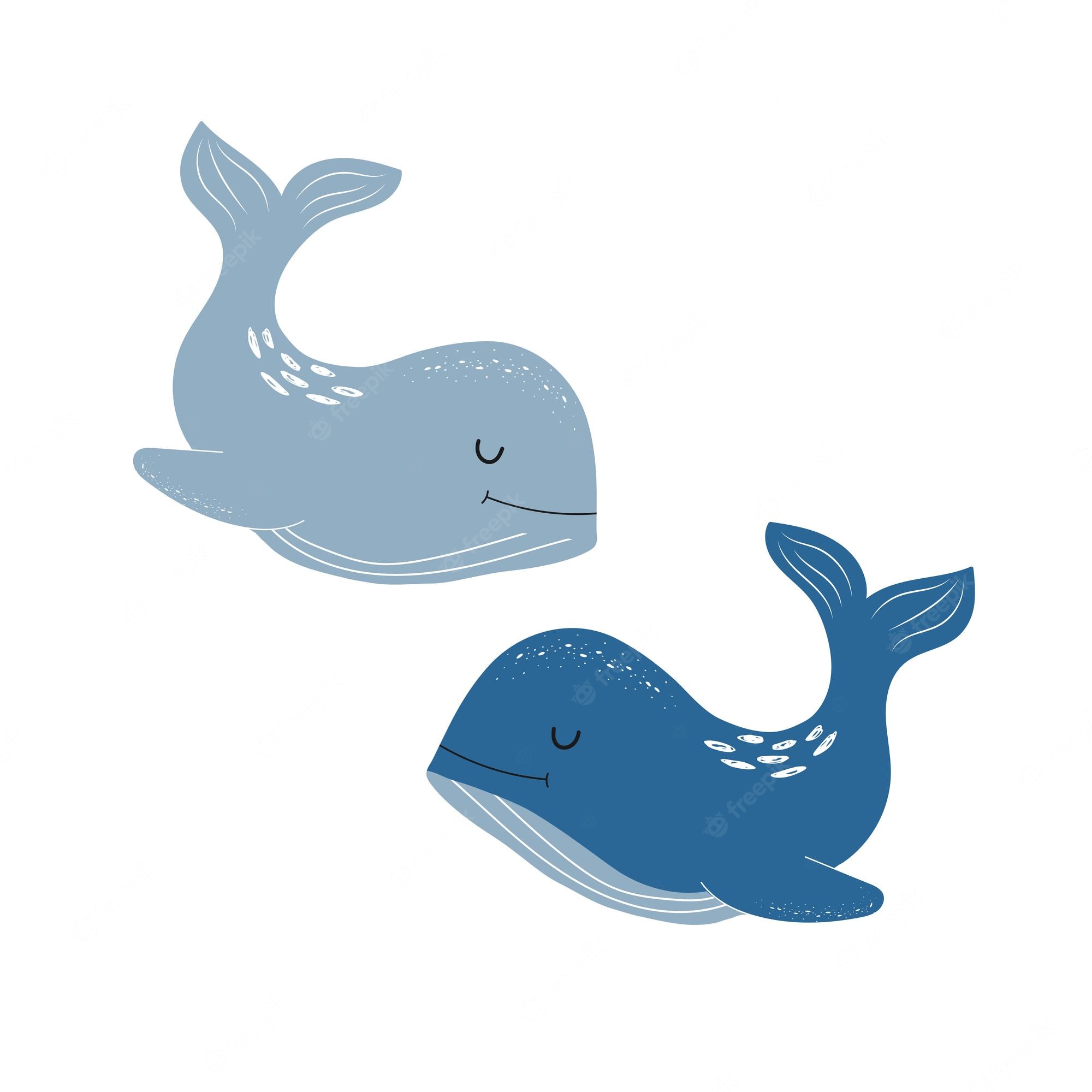 Whale Fish Drawing Art Wallpapers