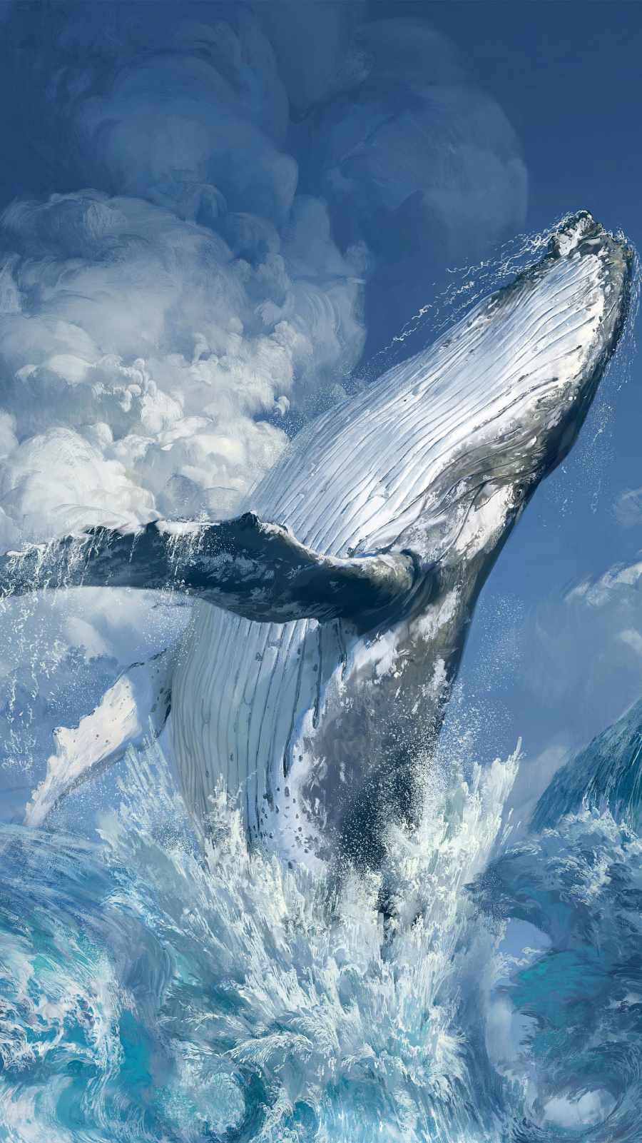 Whale Wallpapers