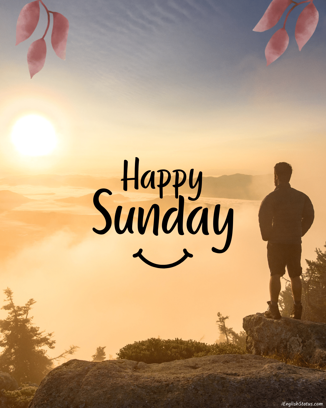 Whatsapp Good Morning Sunday Wallpapers