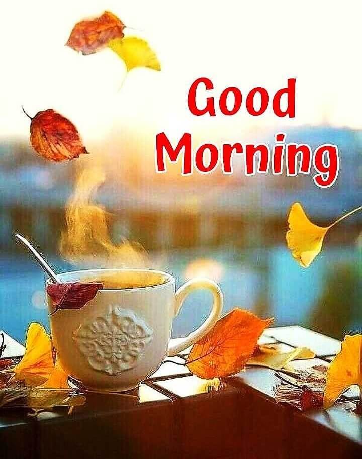 Whatsapp Good Morning Sunday Wallpapers