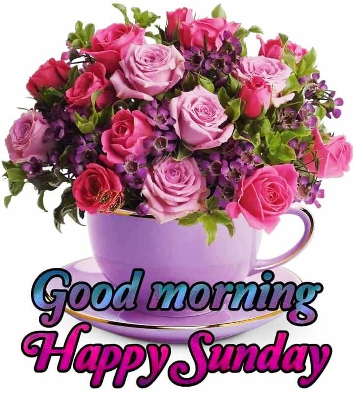 Whatsapp Good Morning Sunday Wallpapers