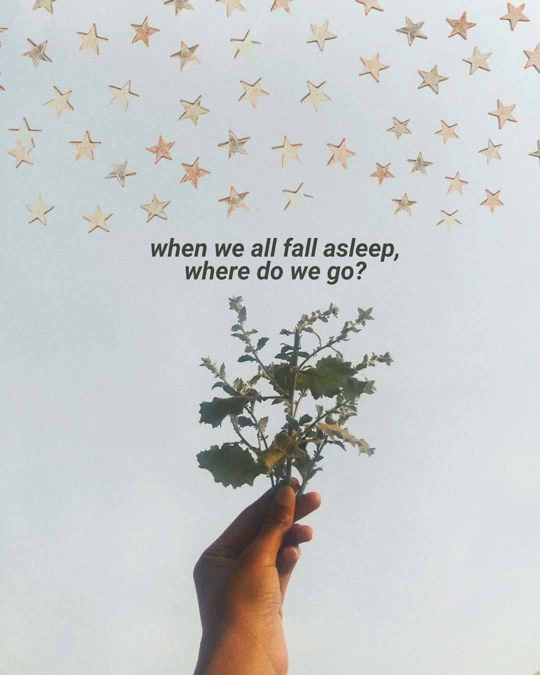 When We All Fall Asleep, Where Do We Go Album Cover Hd Wallpapers