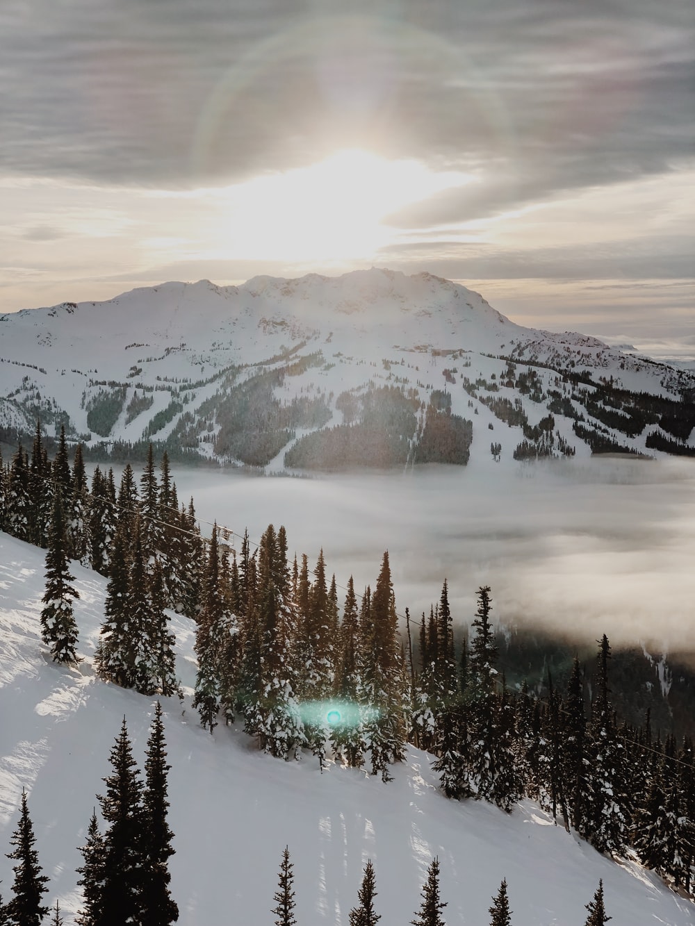 Whistler Wallpapers