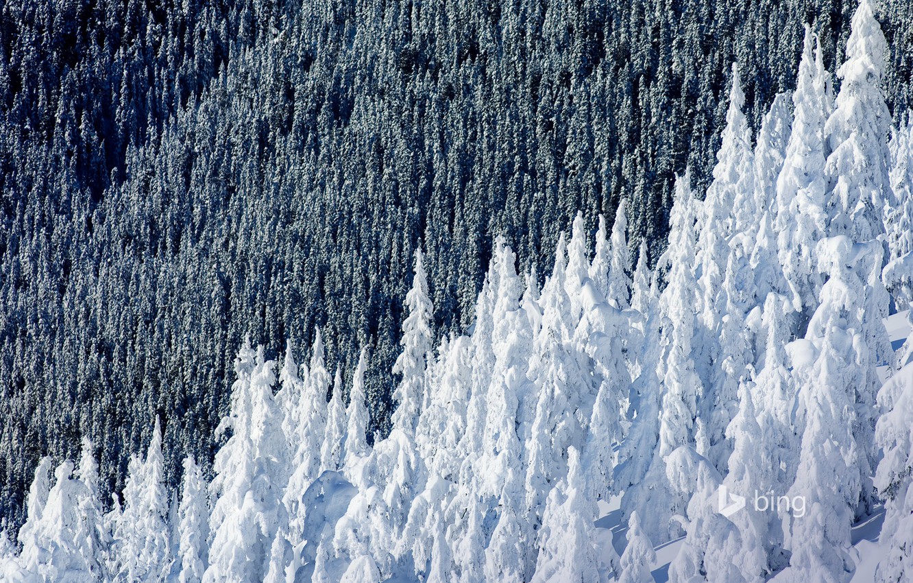 Whistler Wallpapers