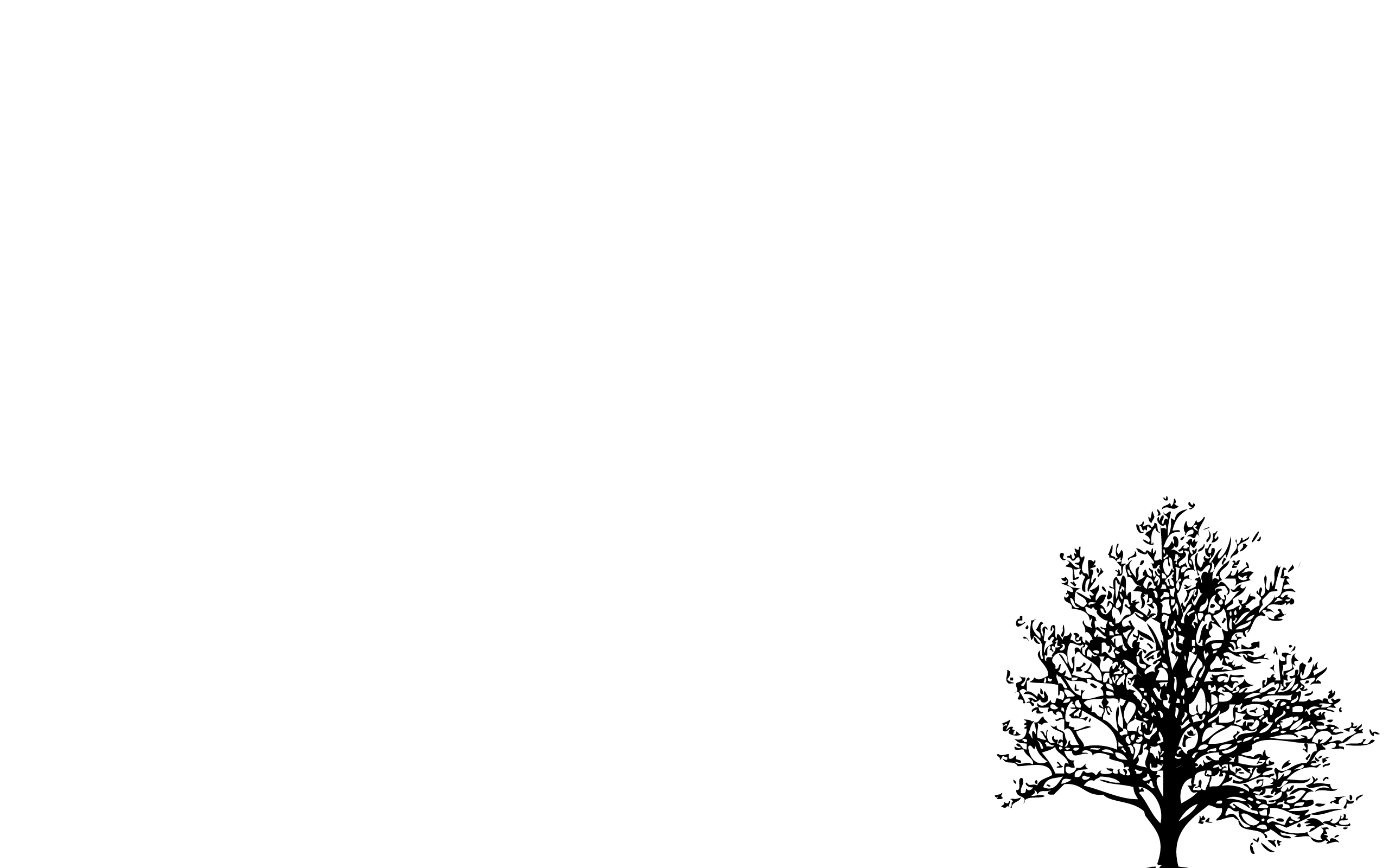 White 1920X1080 Wallpapers