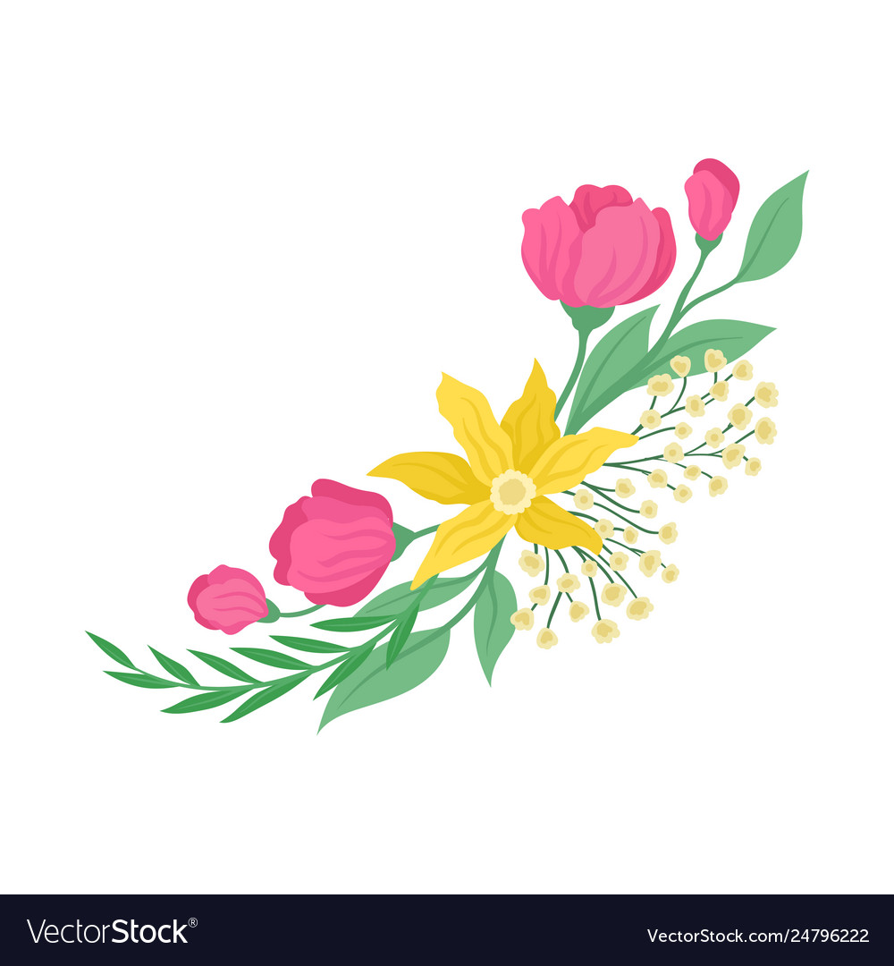 White Background Floral