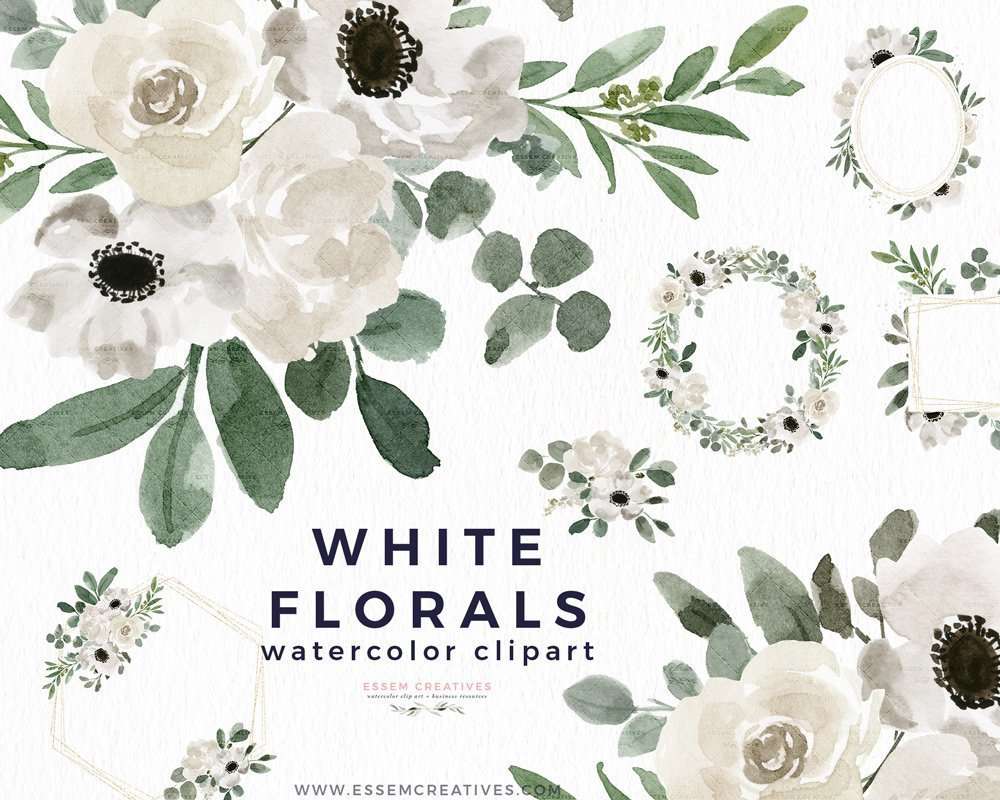 White Background Floral