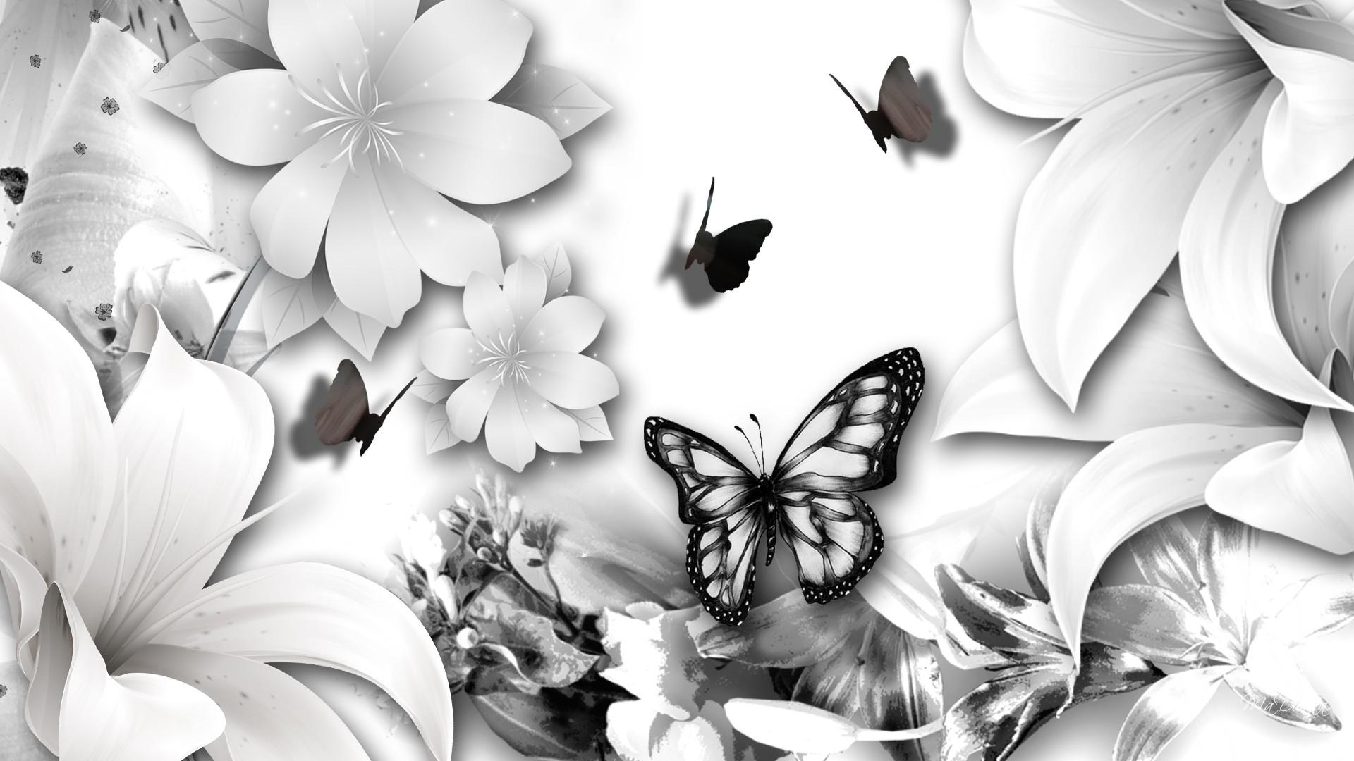 White Butterfly Wallpapers