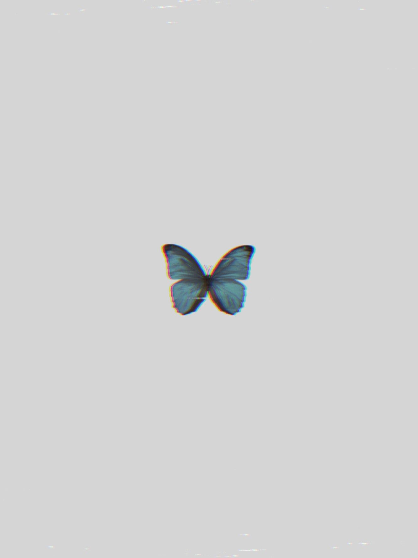 White Butterfly Wallpapers