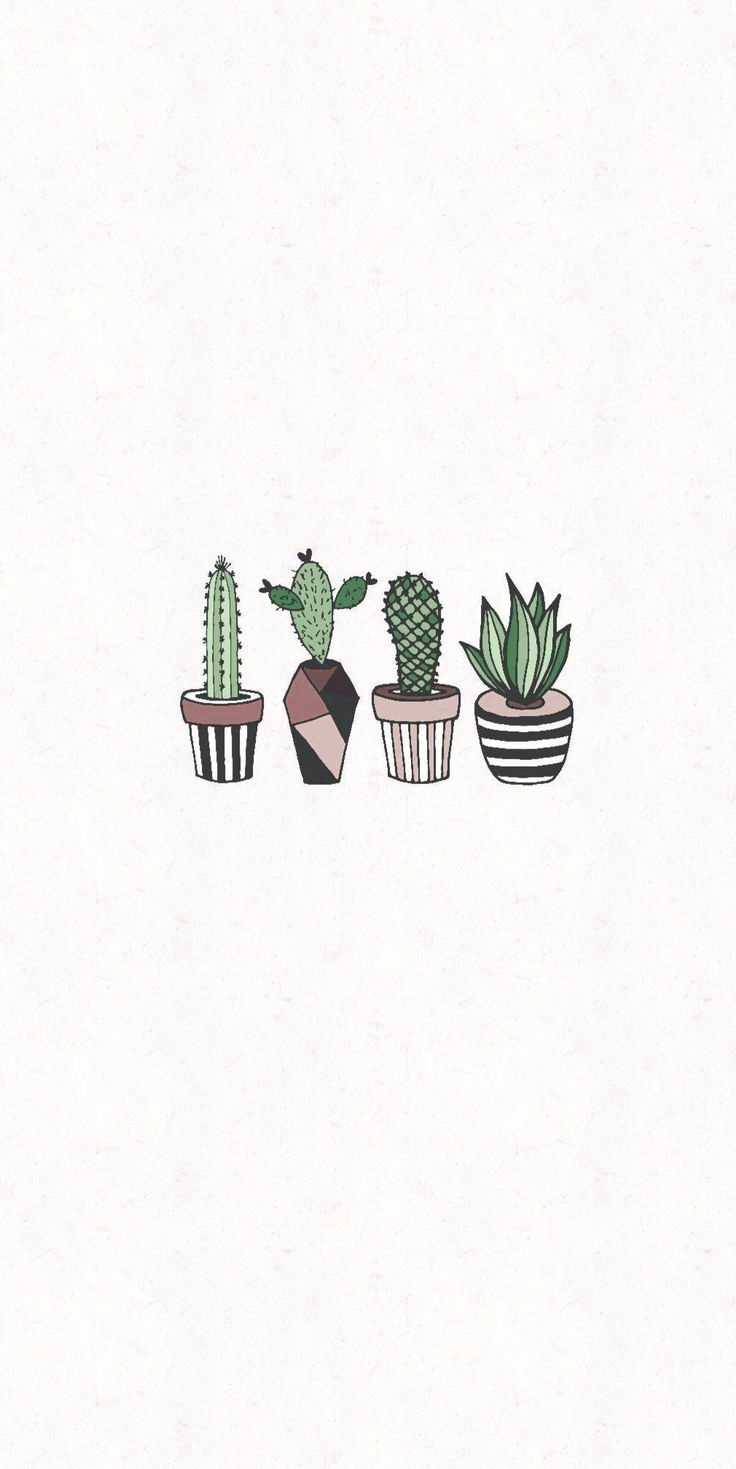 White Cactus Wallpapers