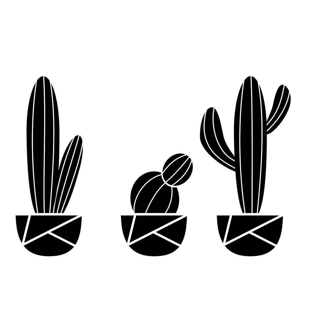 White Cactus Wallpapers