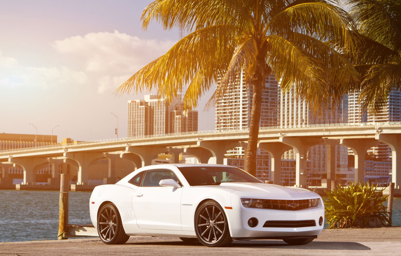 White Camaro Wallpapers