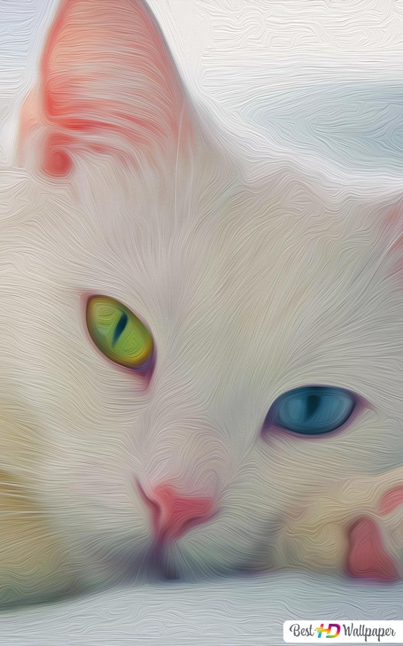 White Cat Wallpapers