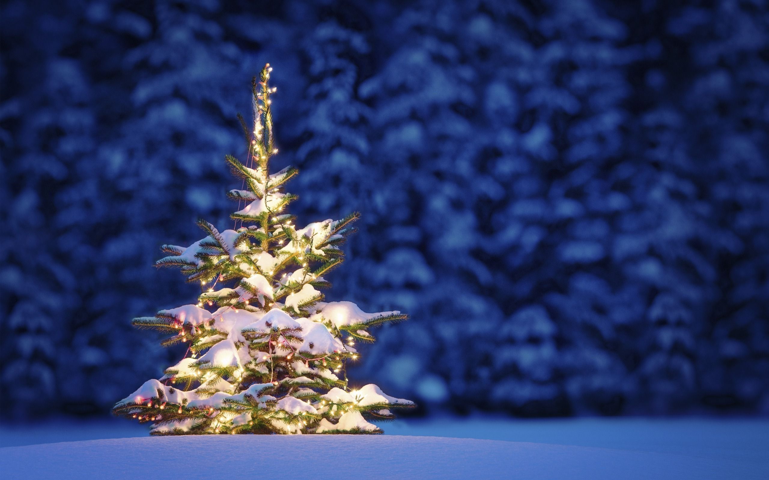 White Christmas Tree Wallpapers