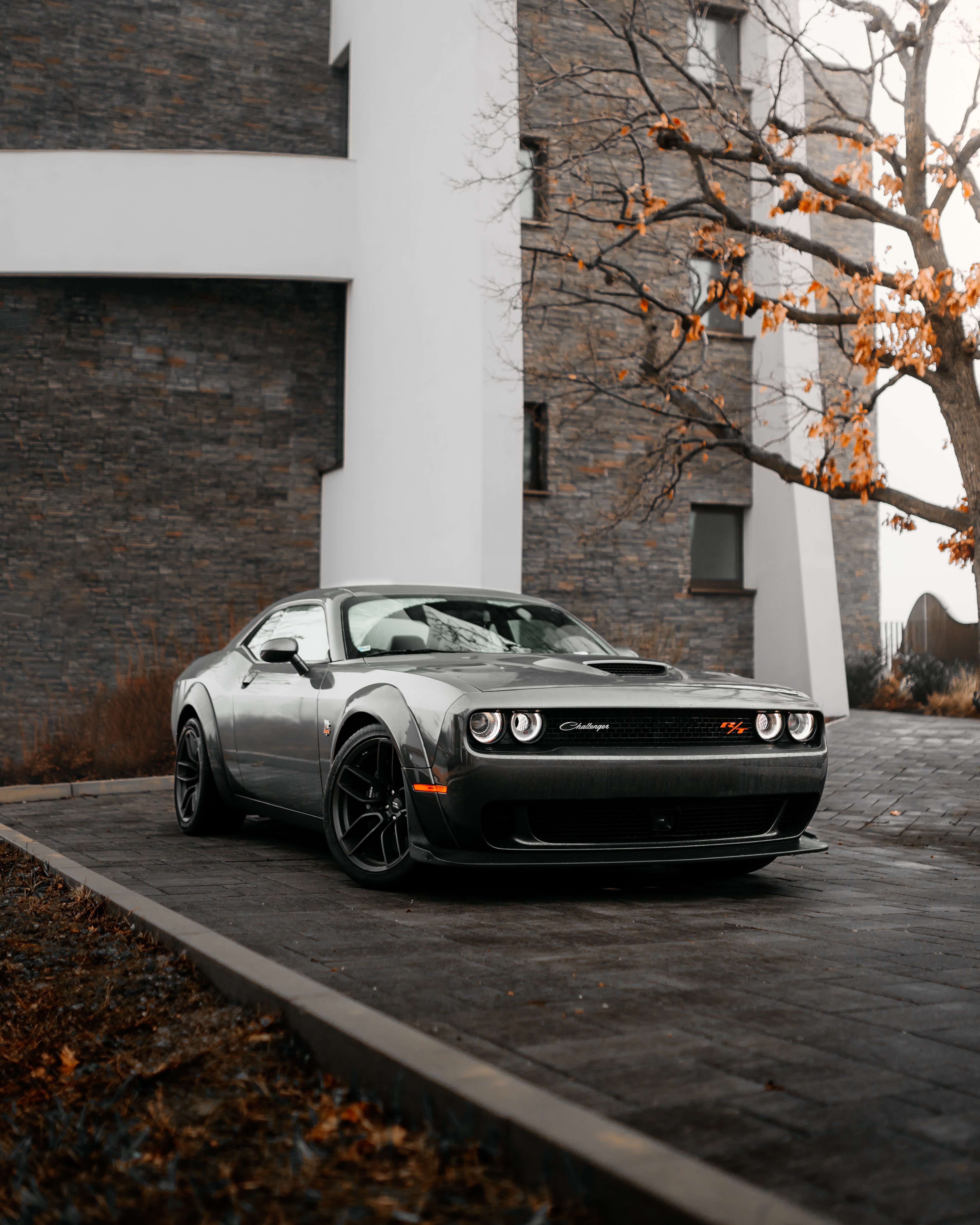 White Dodge Challenger Wallpapers