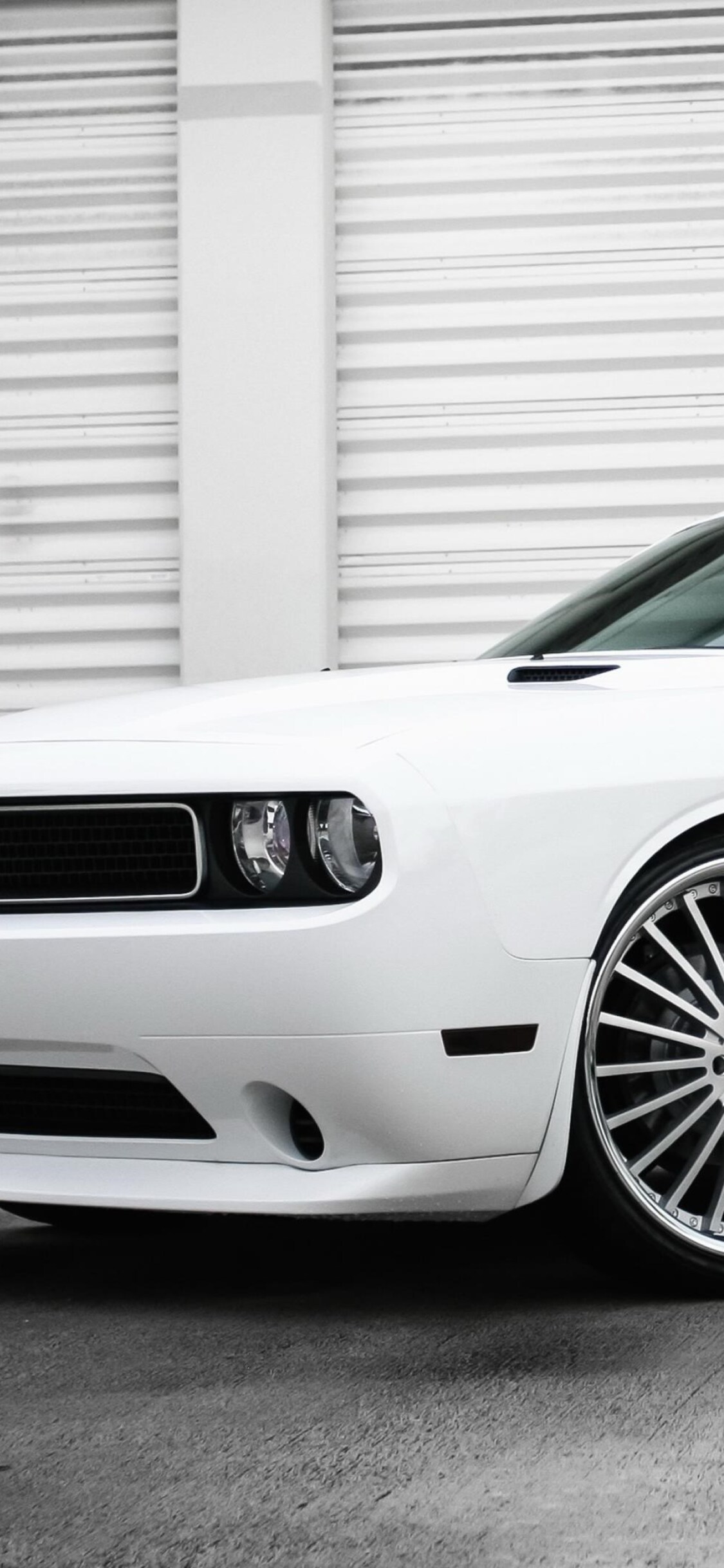 White Dodge Challenger Wallpapers